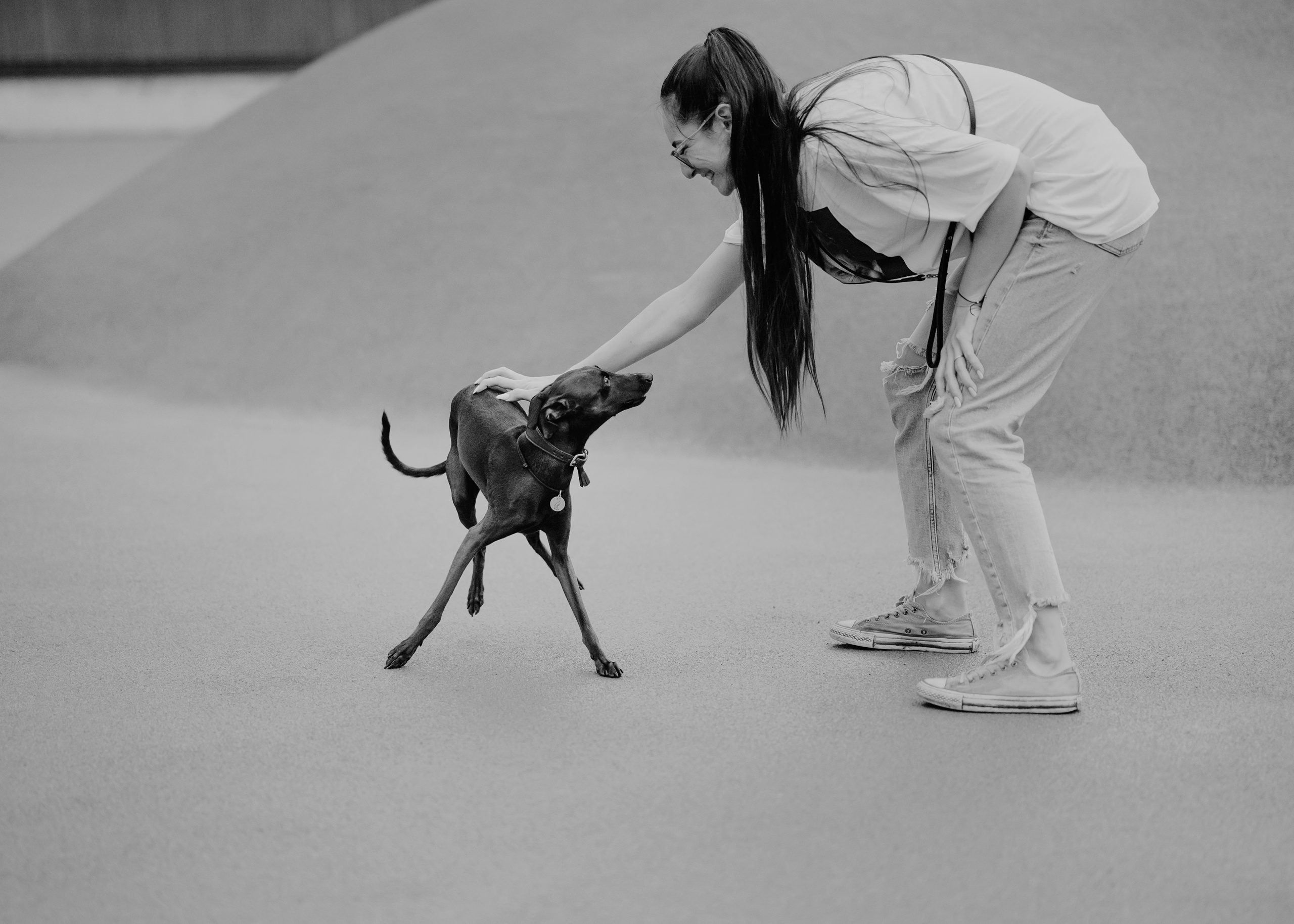 Дофи. Фотограф- анималист Александра Матвеева