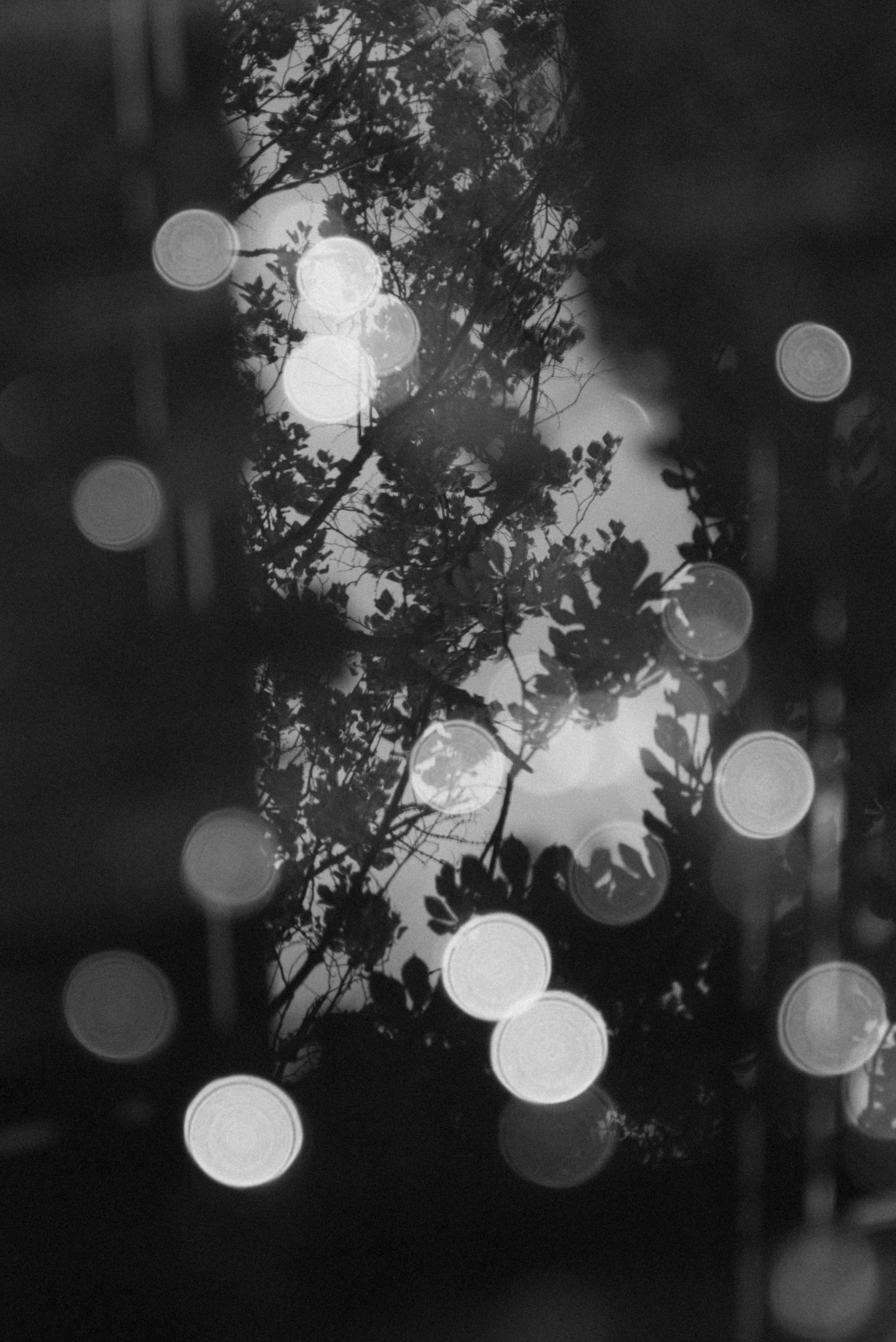 Максим и Оксана. Свадебный и портретный фотограф в Брянске и Москве Алина Химушкина