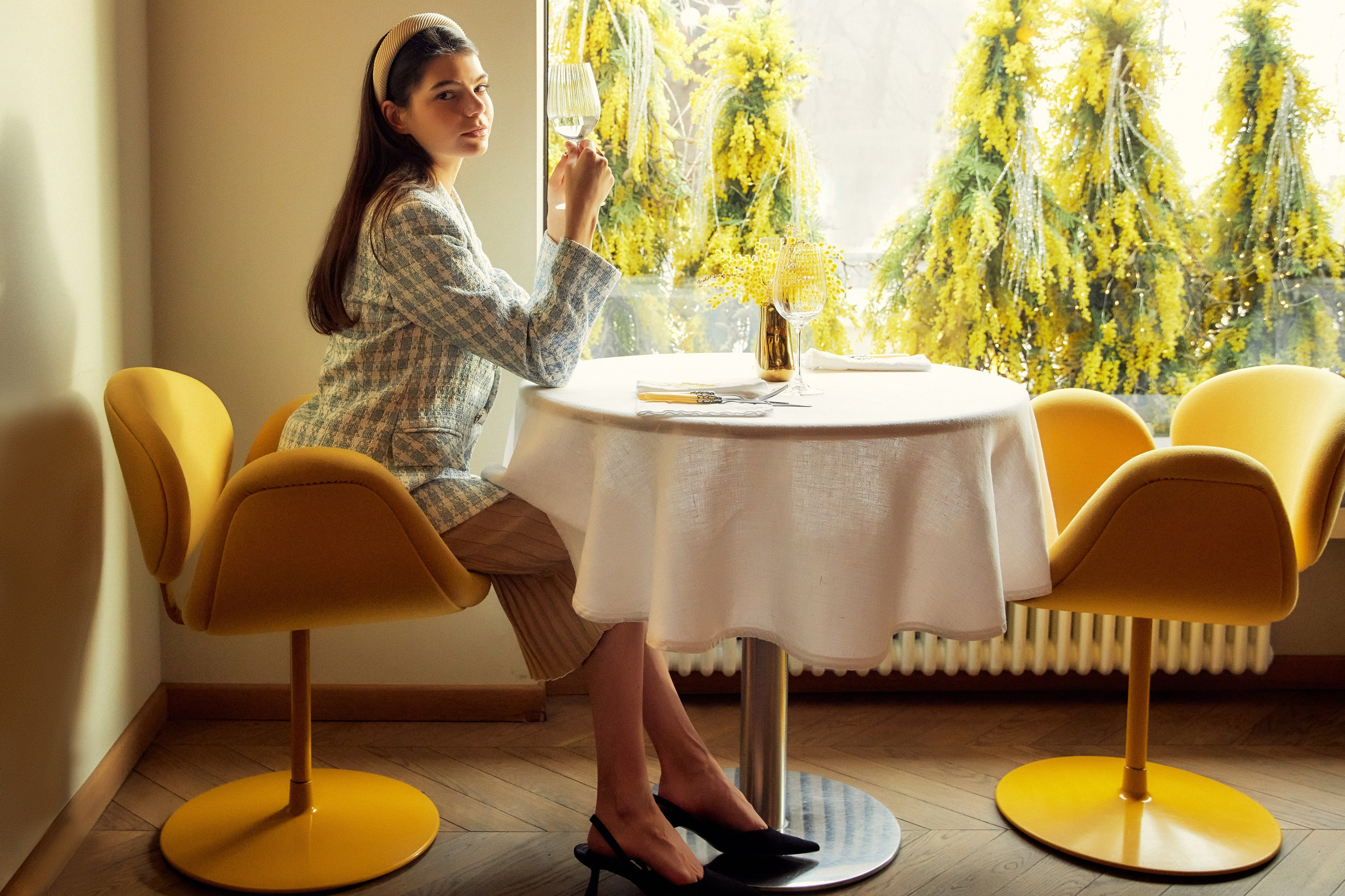 Мимоза. Photorina — фотограф Ирина Гулемина