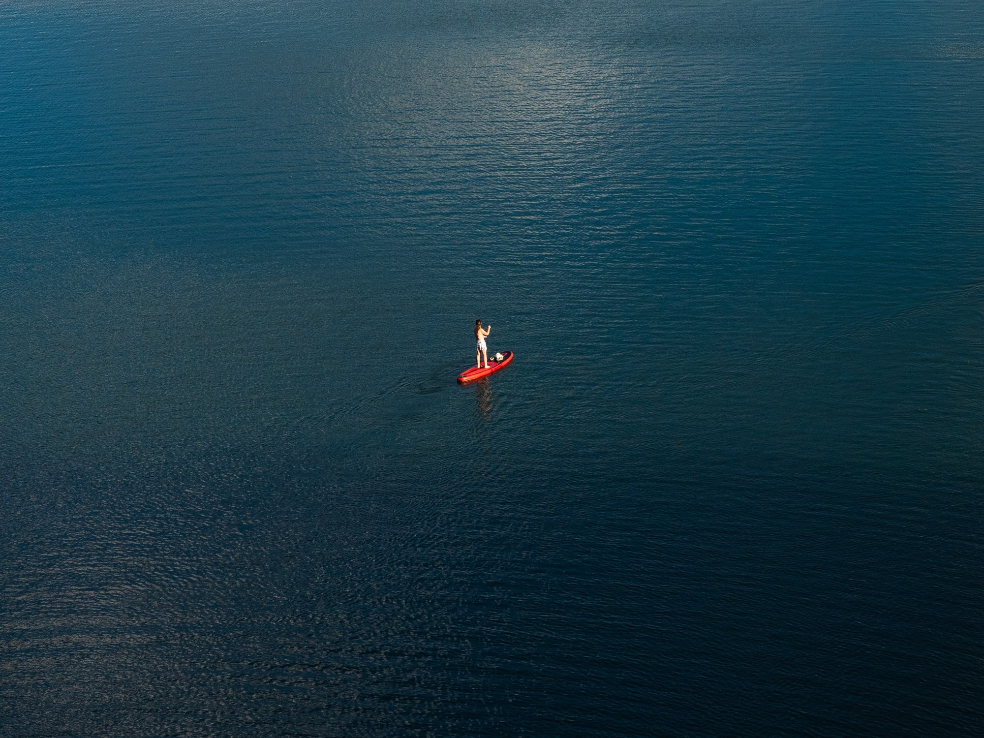 Портретный и Репортажный фотограф в Москве