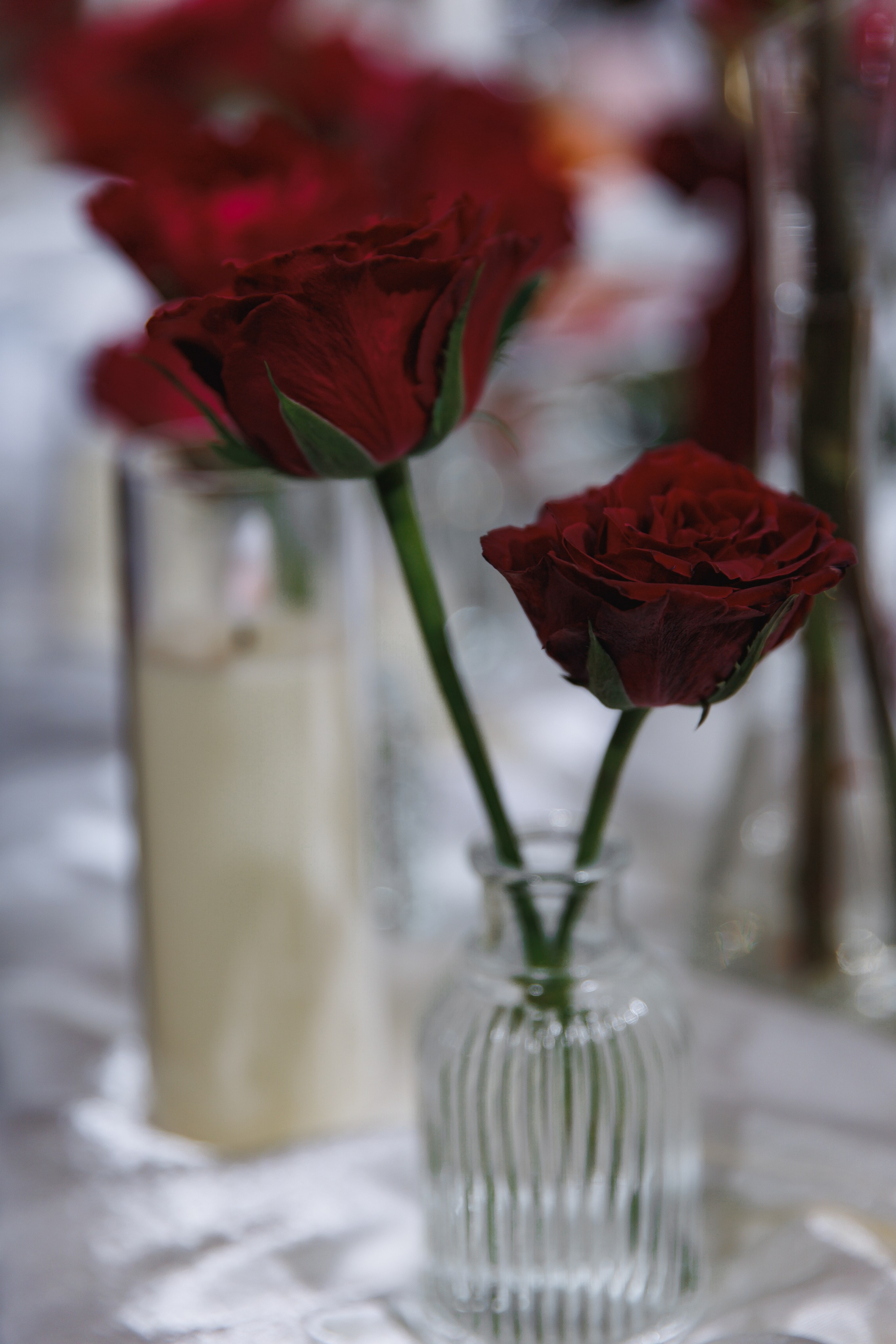 Андрей и Анастасия. Wedding photographer in St. Petersburg, Europe and Israel Anna Agafon
