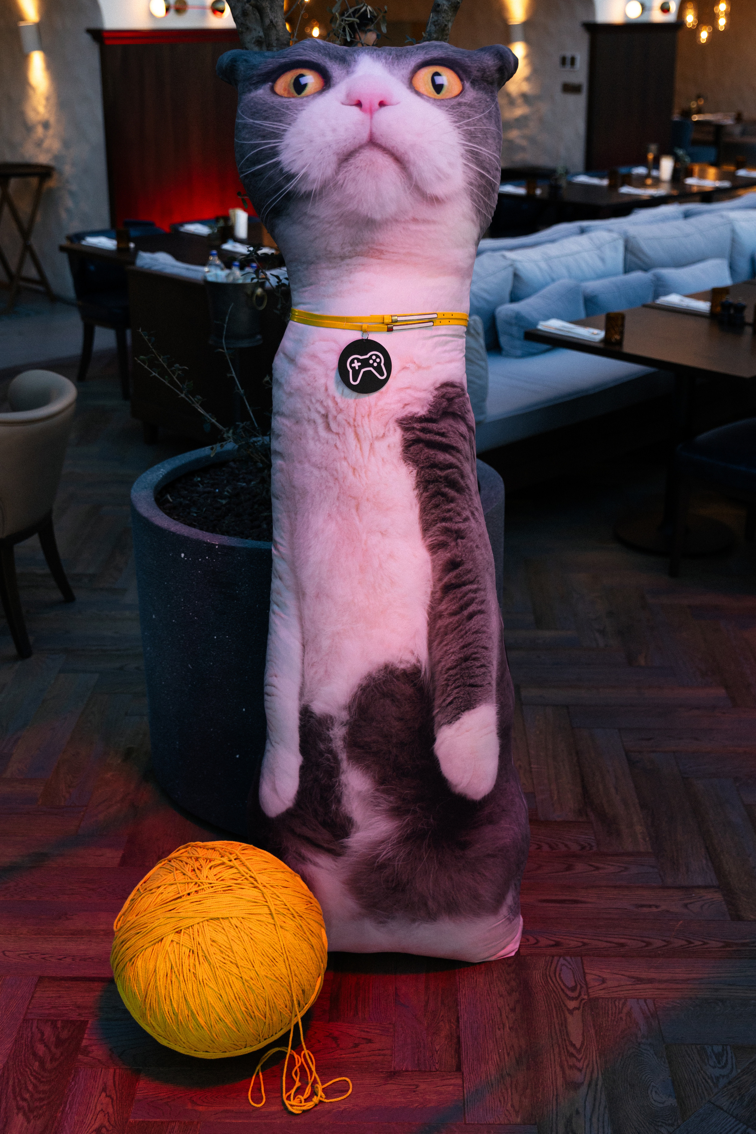 Яндекс Games. Свадебный фотограф Москва Степановский Александр