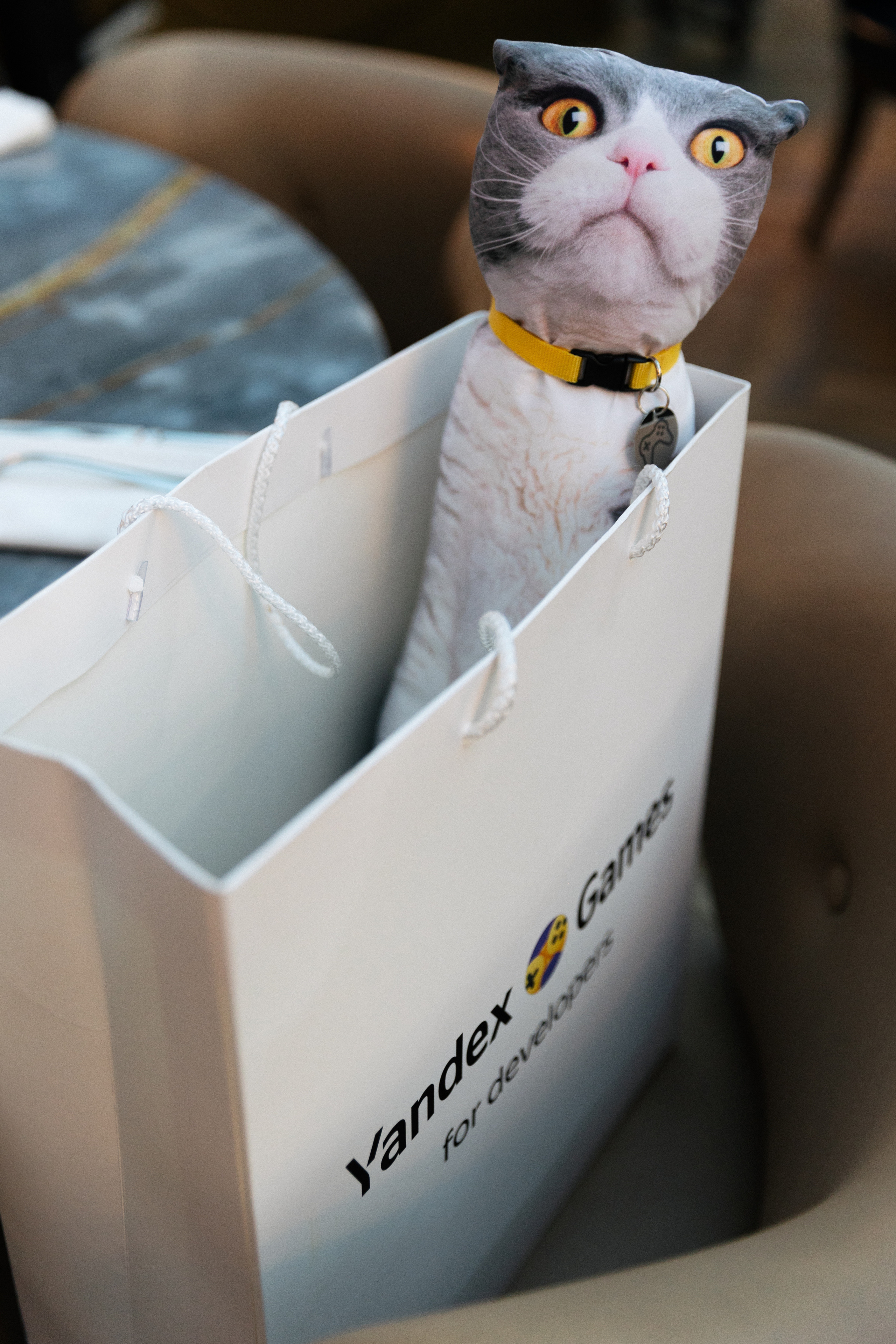 Яндекс Games. Свадебный фотограф Москва Степановский Александр