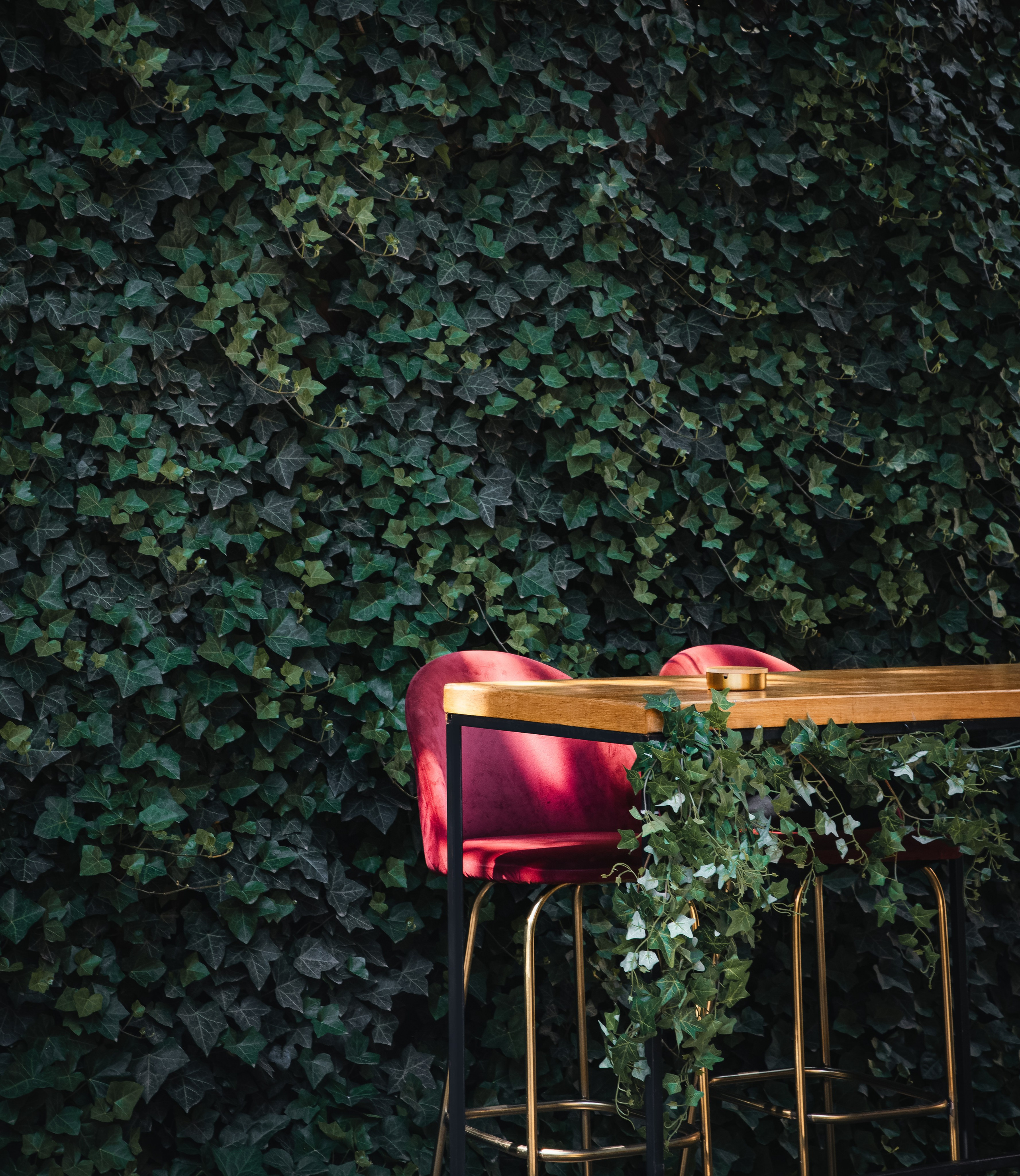 Central Park 22 by Georgiy and Victoria Hatnuik. Ekaterina Symidi. Interior Photographer