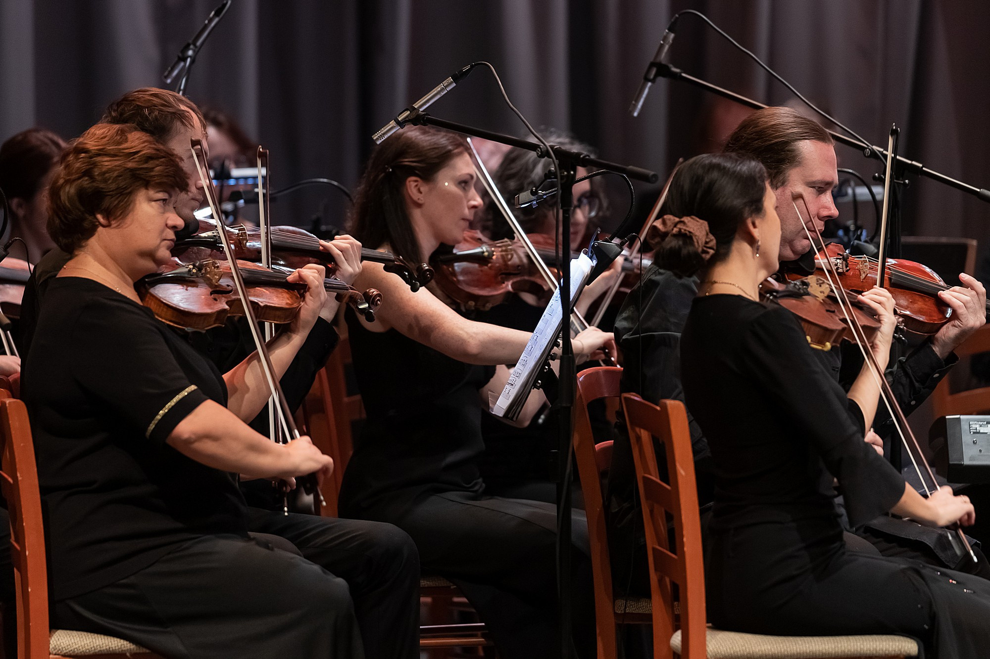 Концерты. Филармония. Боченков Вадим | Фотограф в Пскове и Санкт-Петербурге
