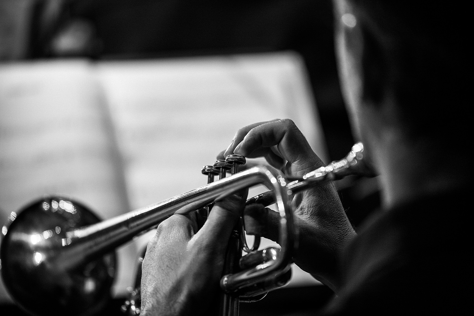 Концерты. Филармония. Боченков Вадим | Фотограф в Пскове и Санкт-Петербурге