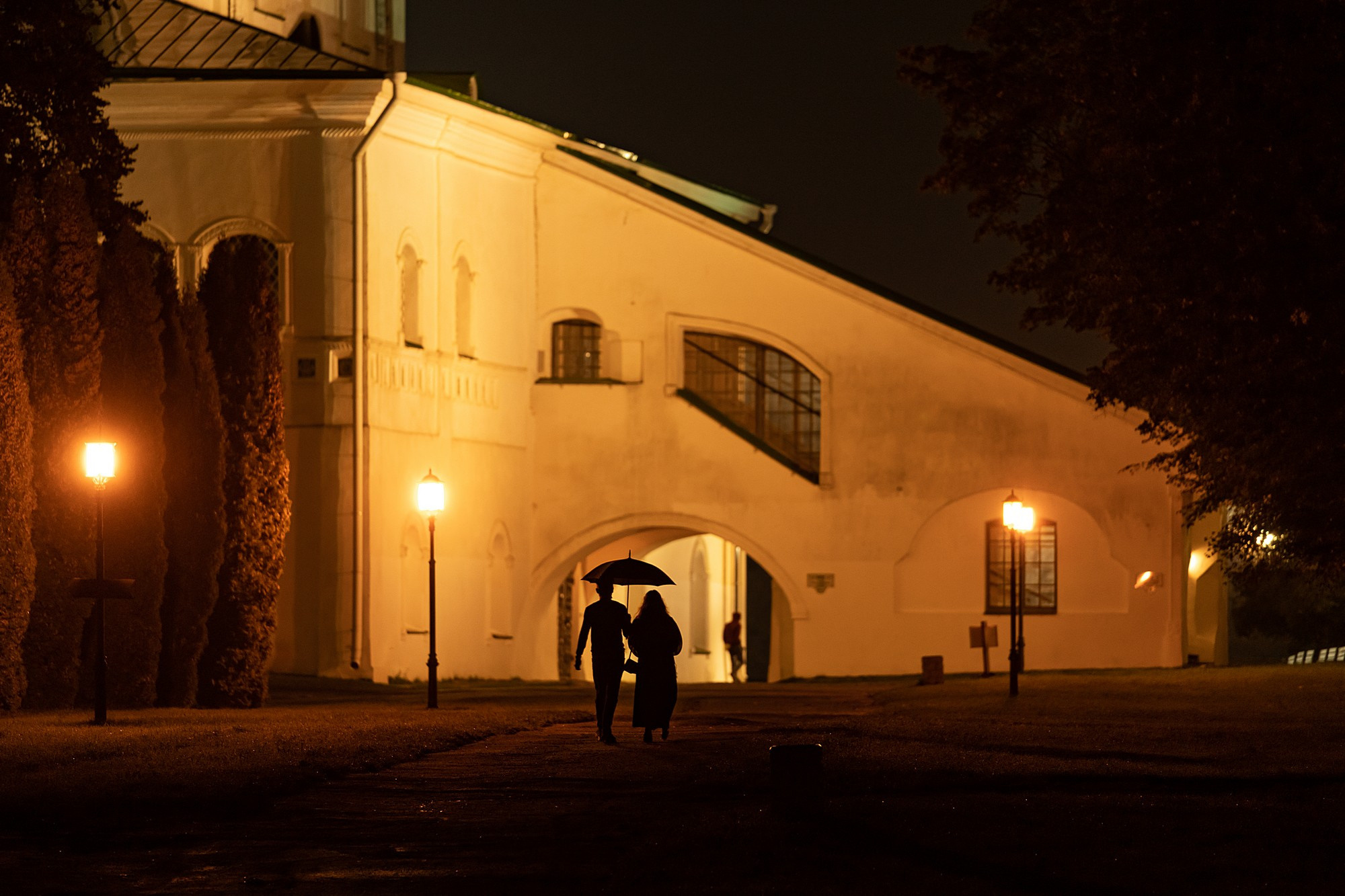 Концерты. Улица. Боченков Вадим | Фотограф в Пскове и Санкт-Петербурге