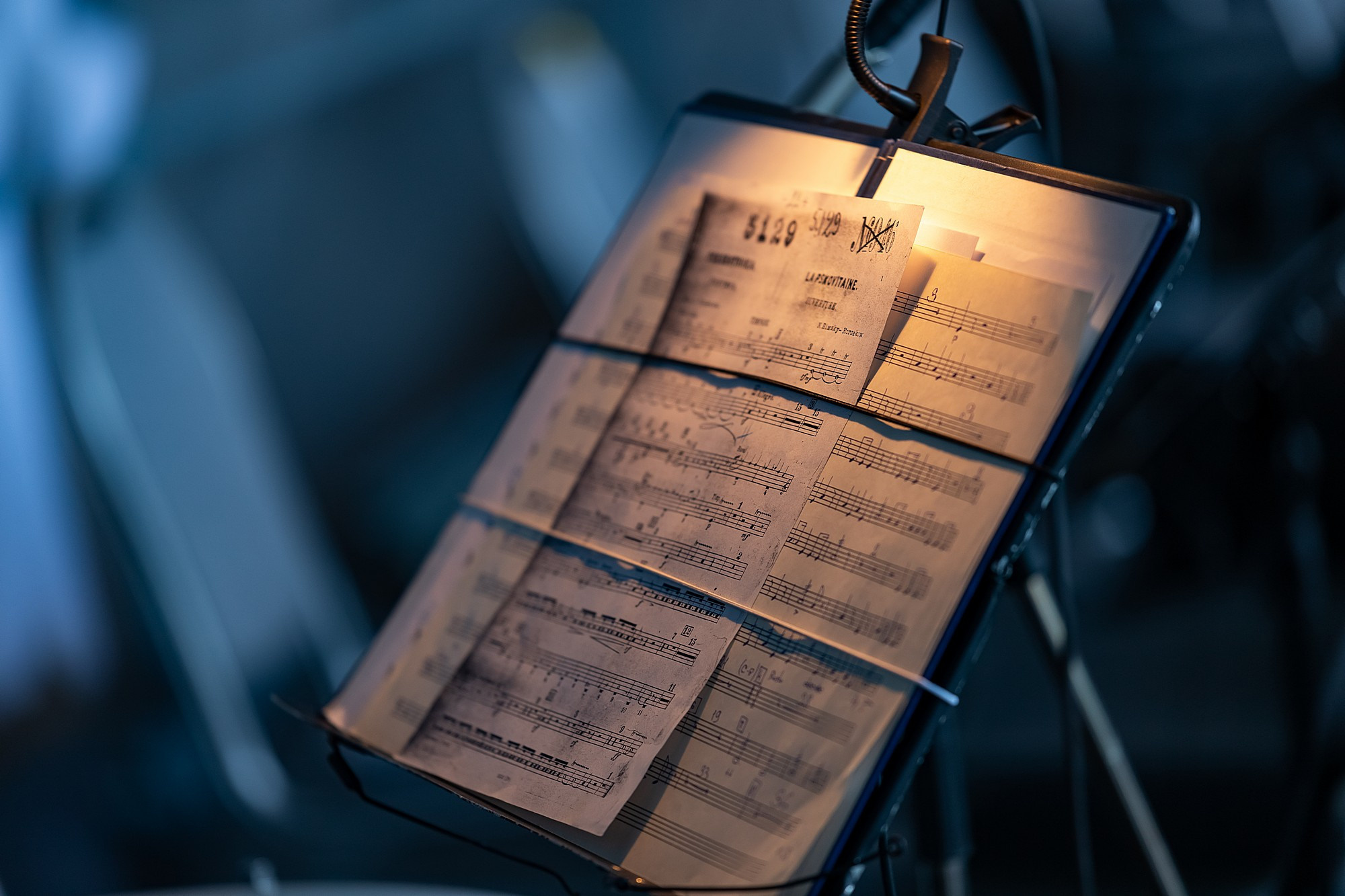 Концерты. Улица. Боченков Вадим | Фотограф в Пскове и Санкт-Петербурге