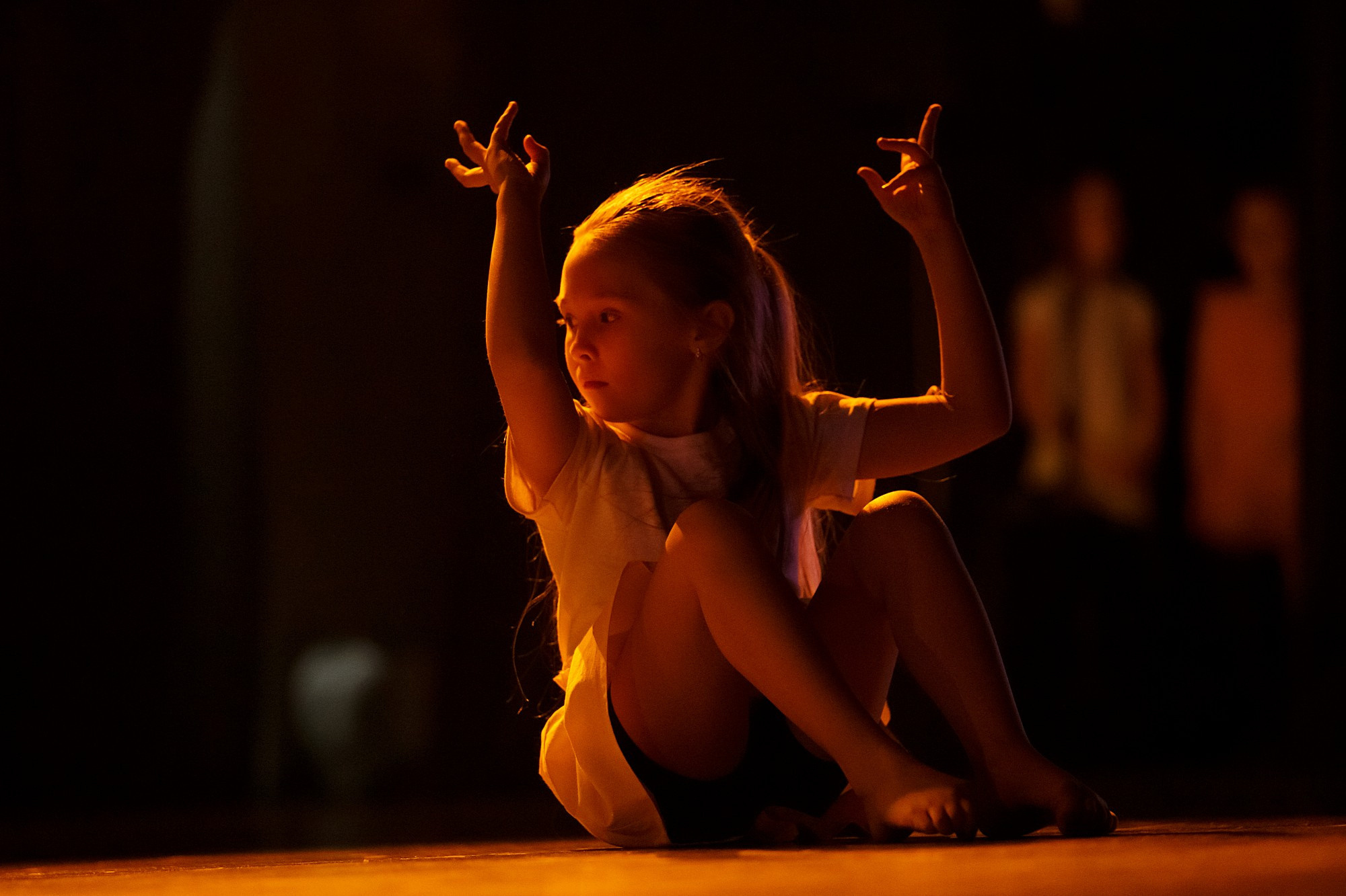 Концерты. Танцевальные студии. Боченков Вадим | Фотограф в Пскове и Санкт-Петербурге