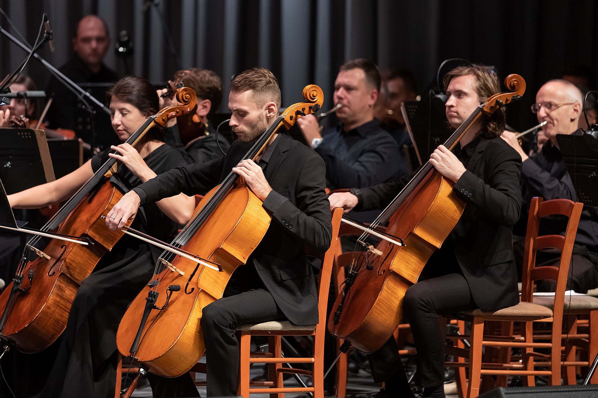 Концерты. Филармония. Боченков Вадим | Фотограф в Пскове и Санкт-Петербурге