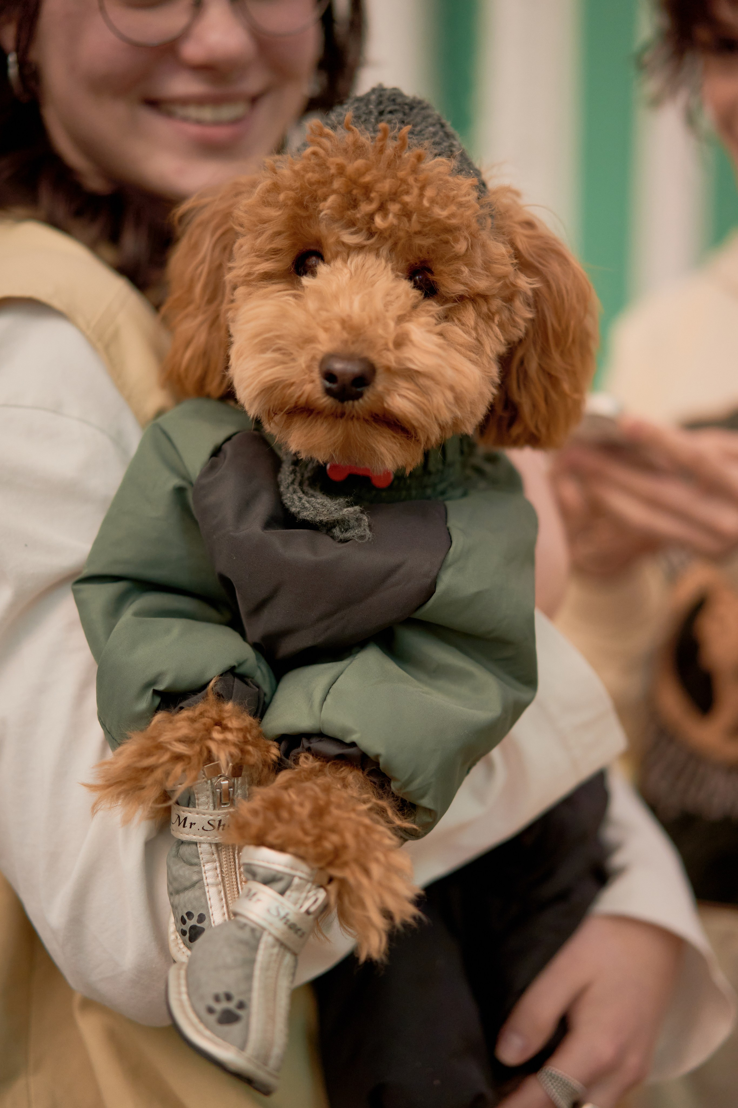 CONCEPTICA МАРКЕТ. Чумаков Алексей Фотограф|Видеограф свадебные, индивидуальные, семейные, репортаж