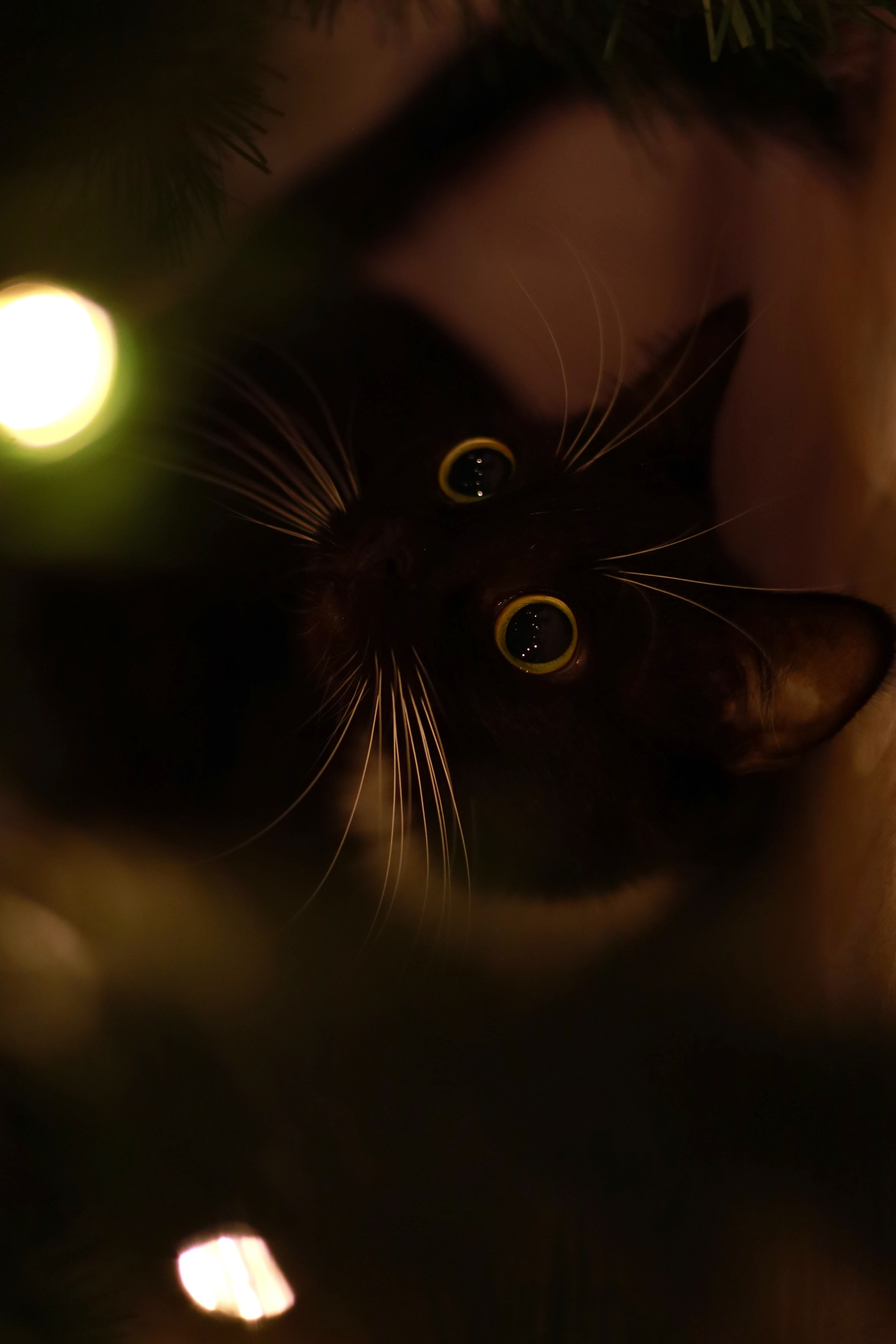 Все, что вокруг меня. Фотограф Евгения Ошкина, Саранск