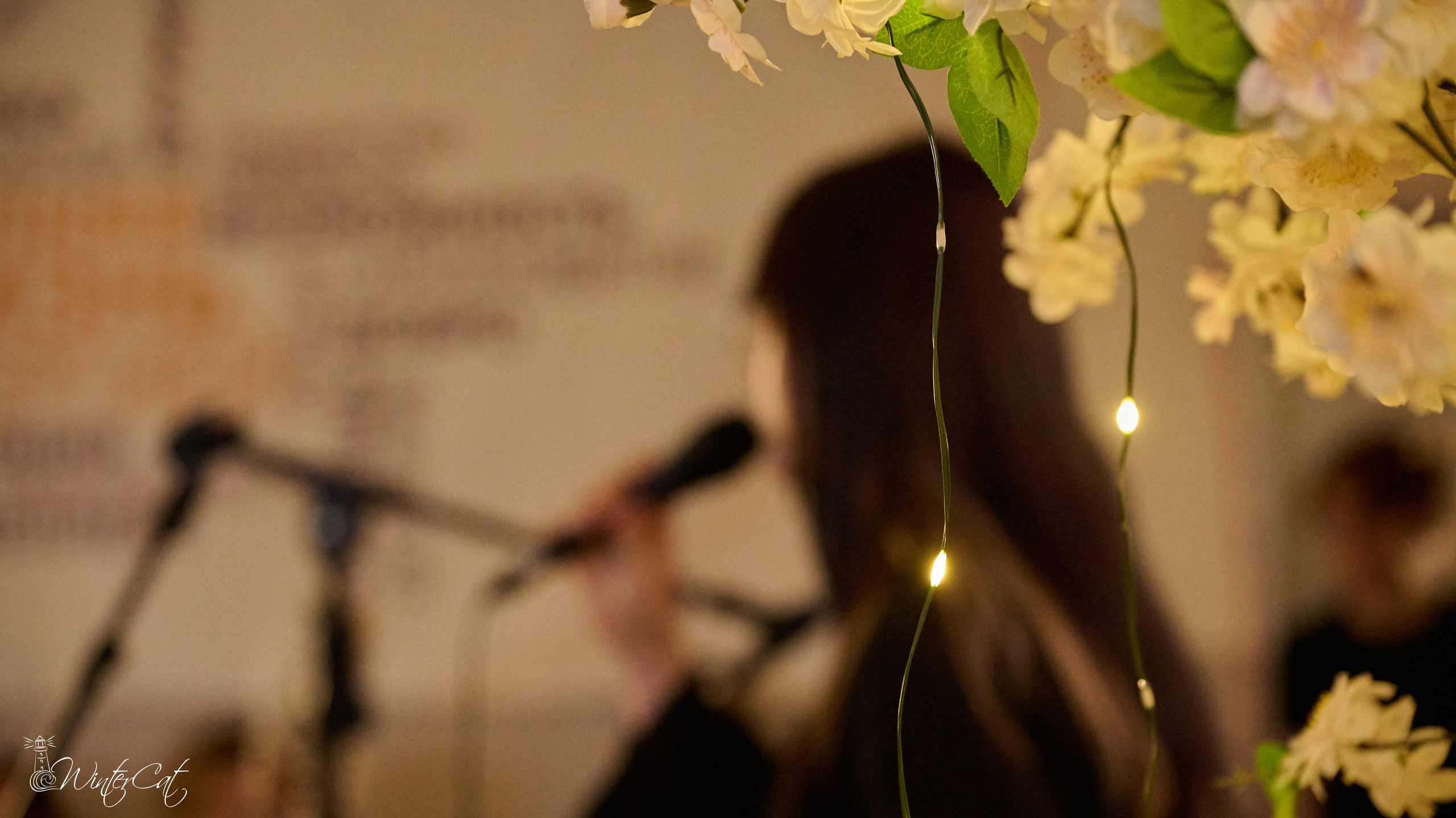 Тёплый Вечер (18.04.26 Чайка). Портретный и репортажный фотограф в Магадане Андрей Нефедов WinterCatPhoto