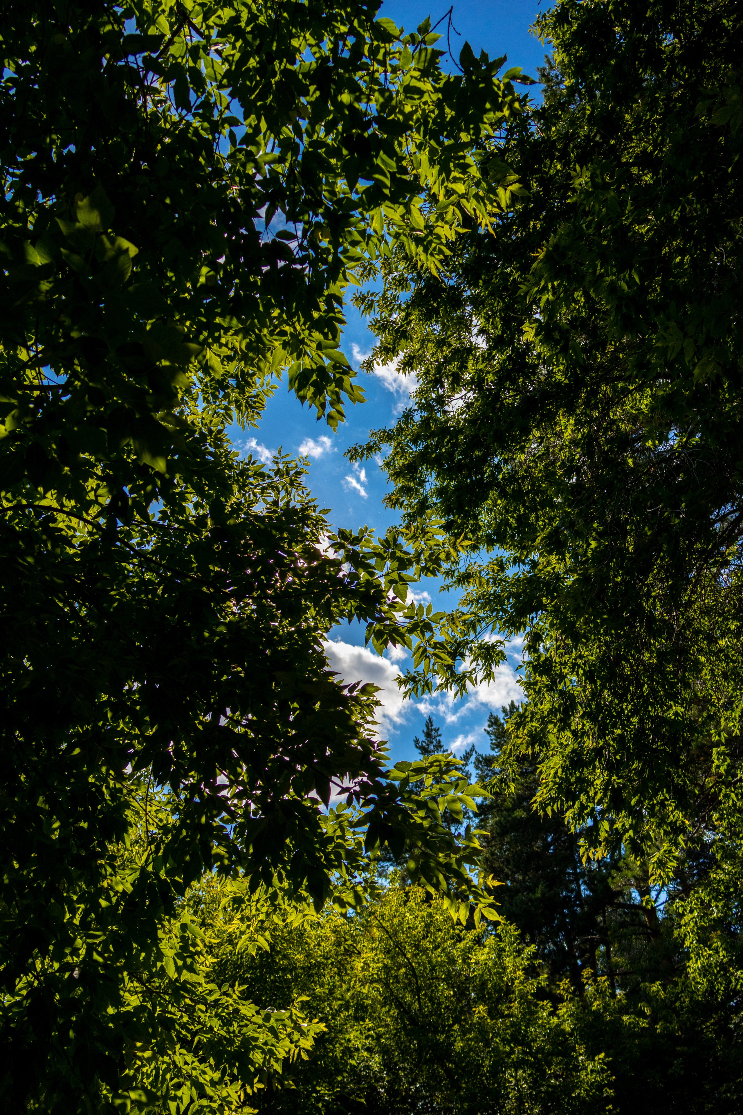 Новосибирск. Jean De Vivre Gallery