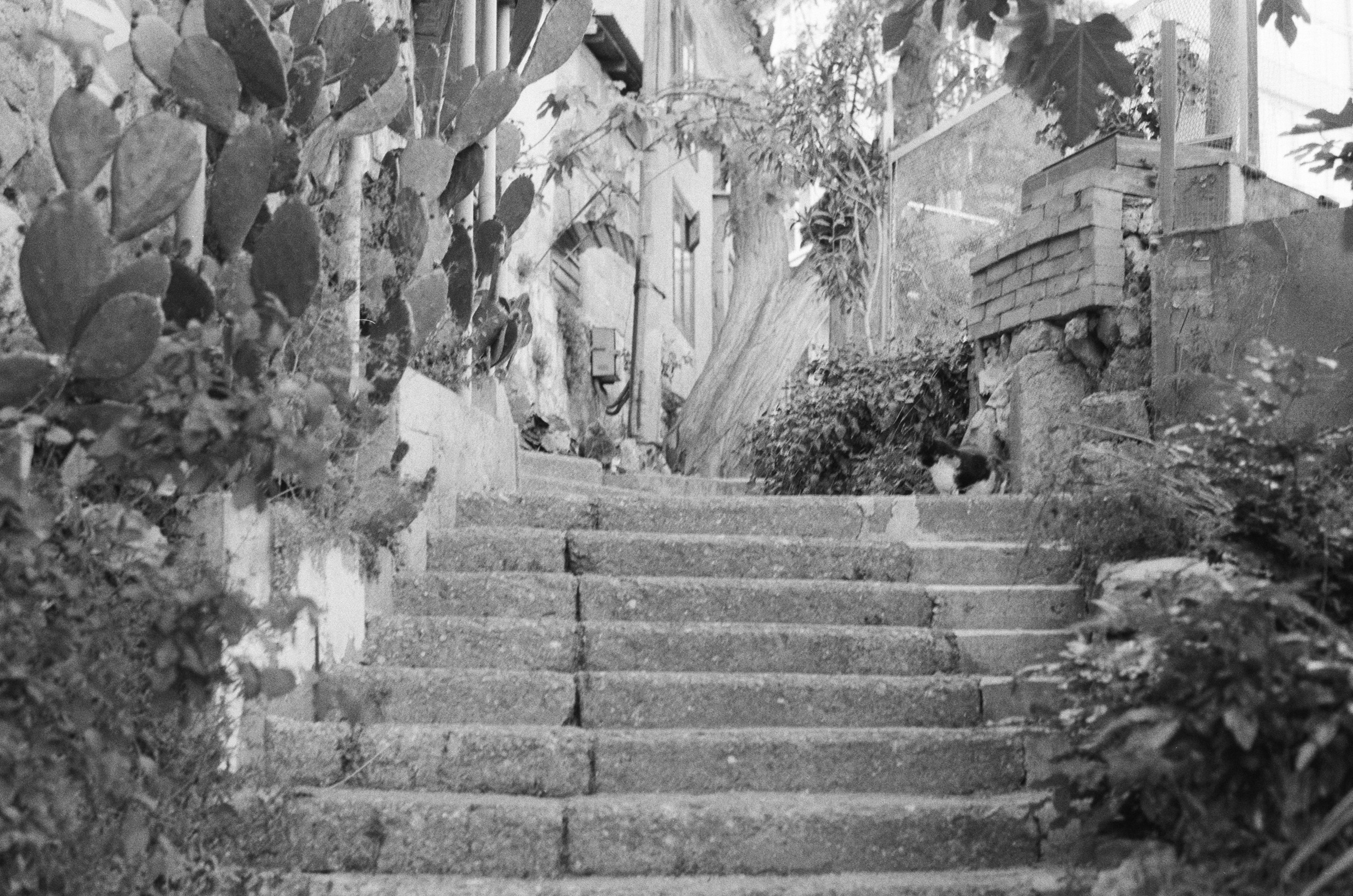 Sparks // ukraine, crimea II. EVER EXPOSED