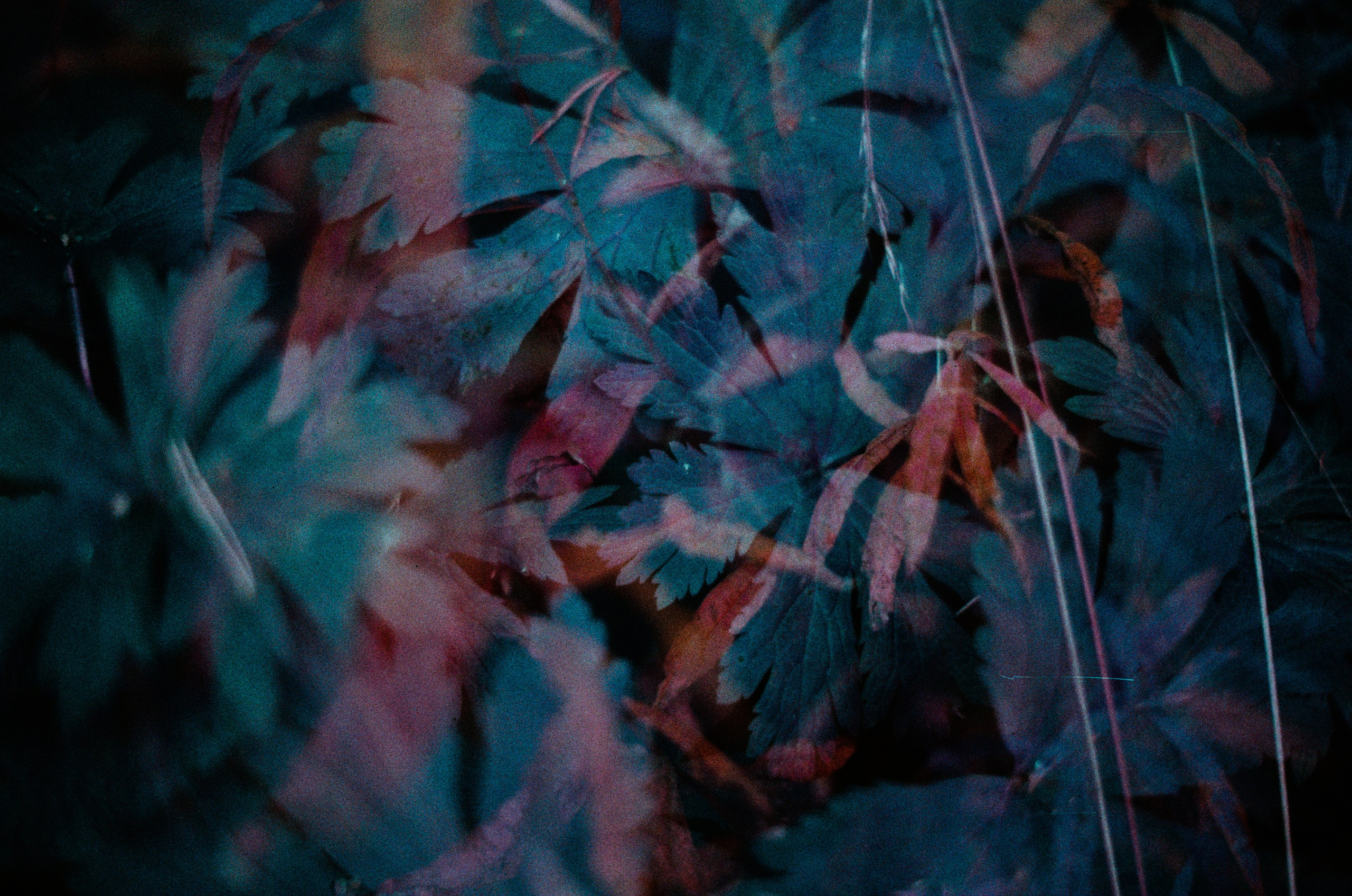 Purple overdose II. EVER EXPOSED