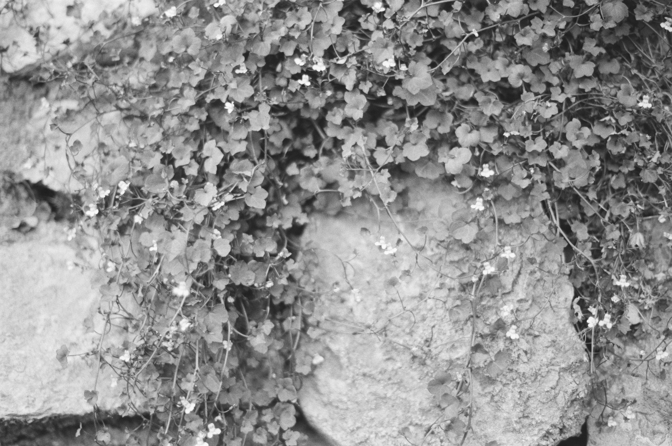 Sparks // ukraine, crimea II. EVER EXPOSED