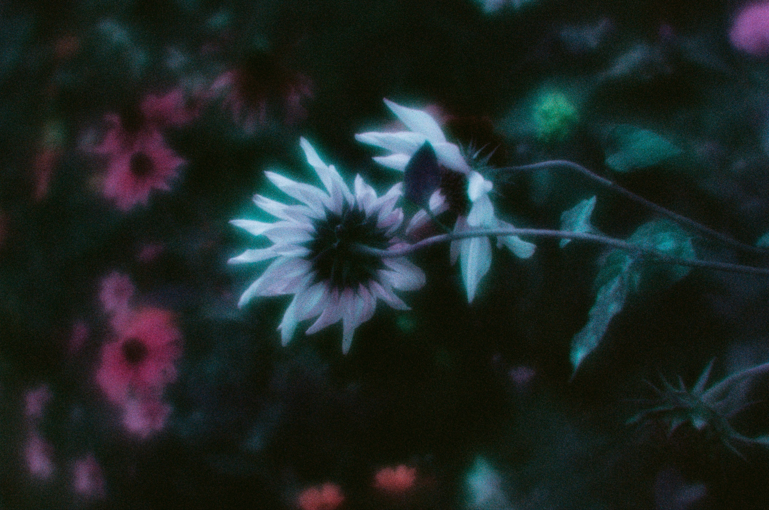 Everything i could never say to you II. EVER EXPOSED