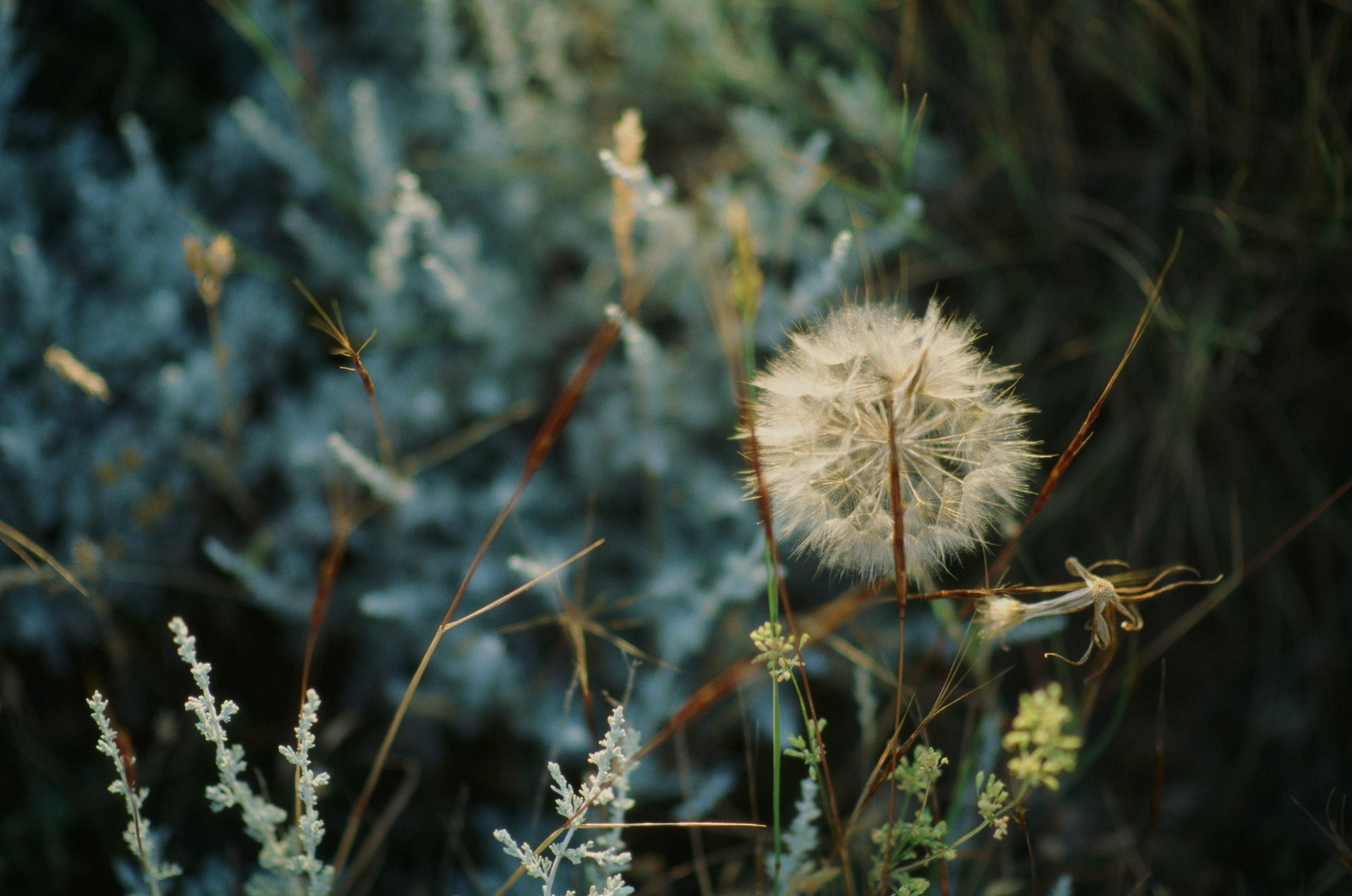 Dig it // ukraine, crimea VII. EVER EXPOSED