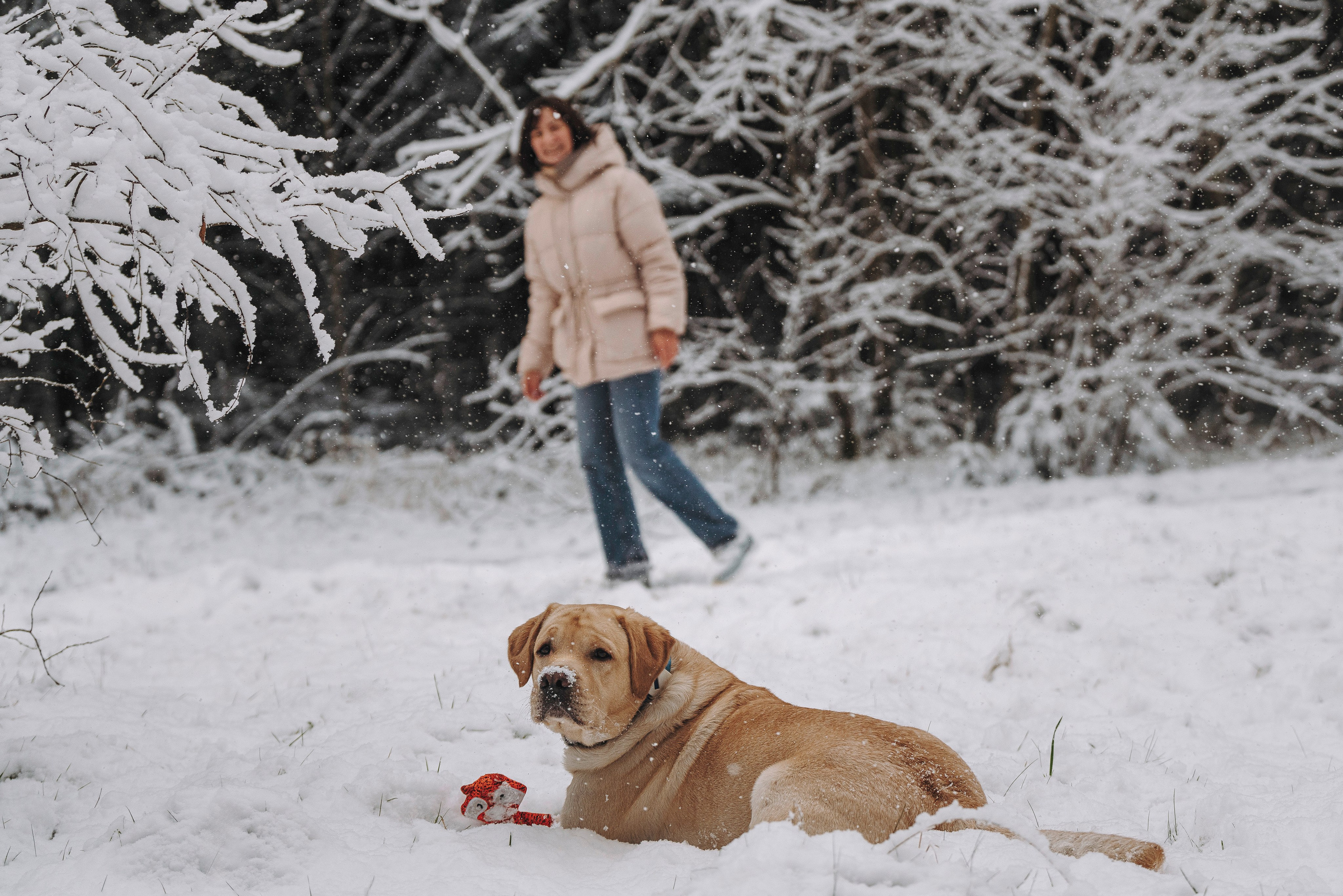 Аня и Честер. Фотограф анималист в Спб недорого Олеся Майорова