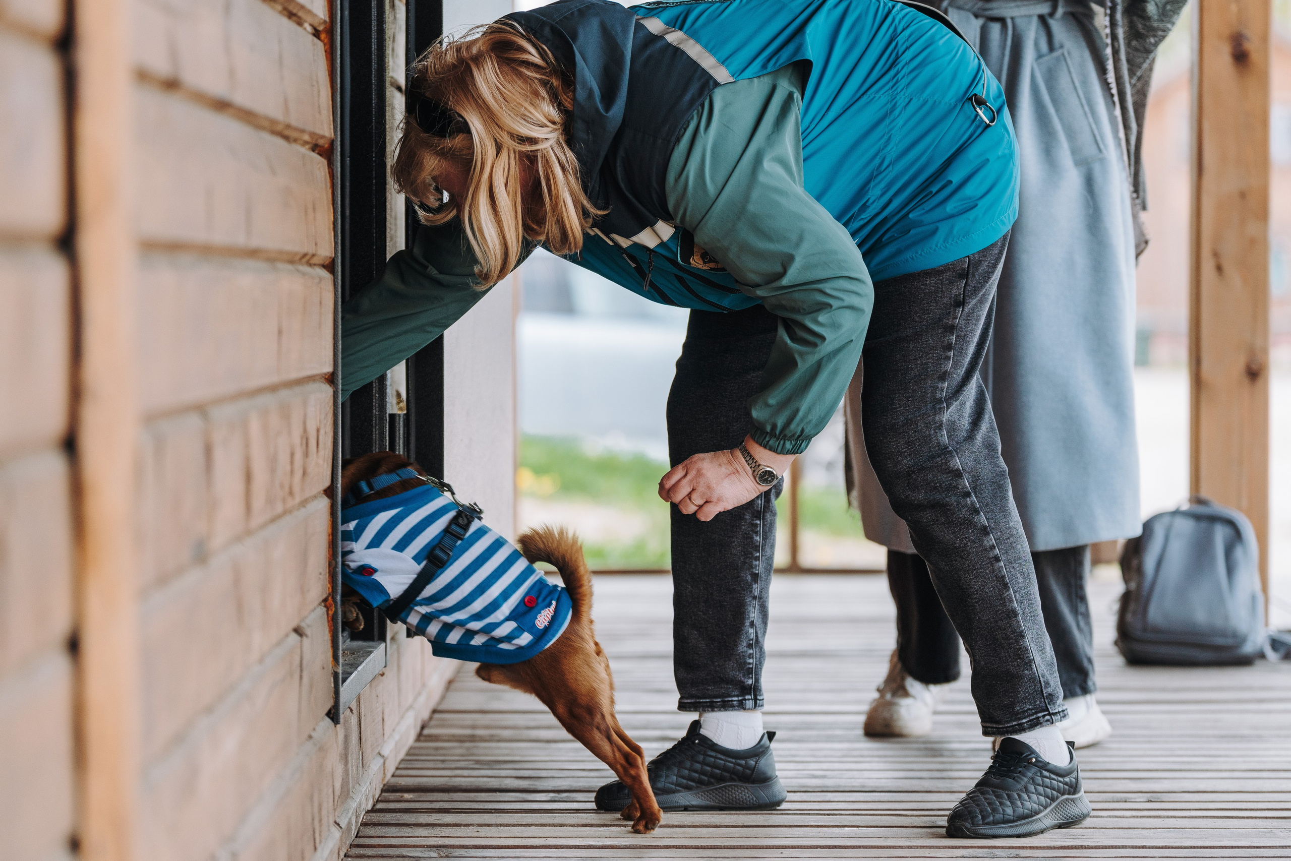 Соревнования по ноузворку в Лосево. Фотограф анималист в Спб недорого Олеся Майорова
