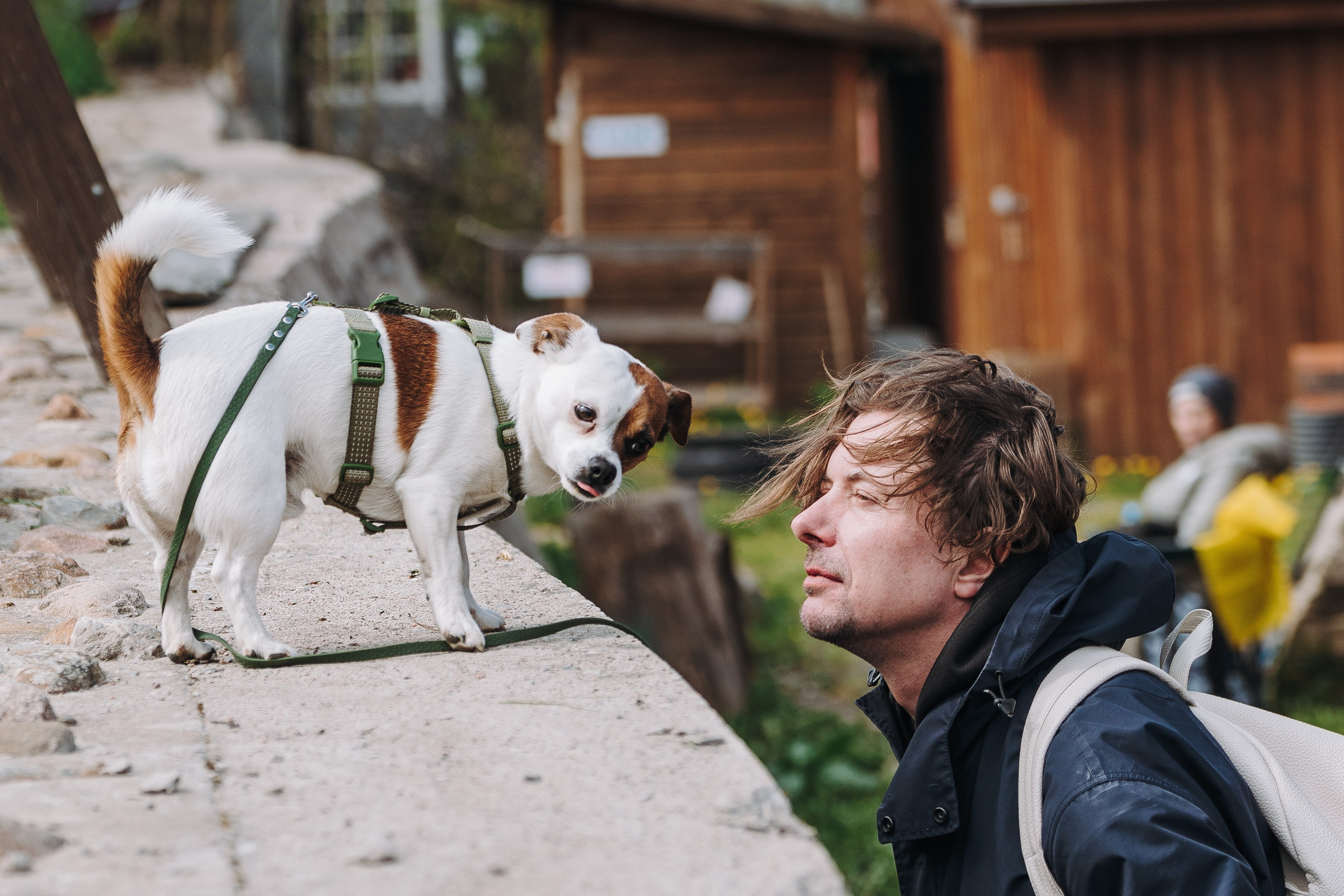 Соревнования по ноузворку в Лосево. Фотограф анималист в Спб недорого Олеся Майорова