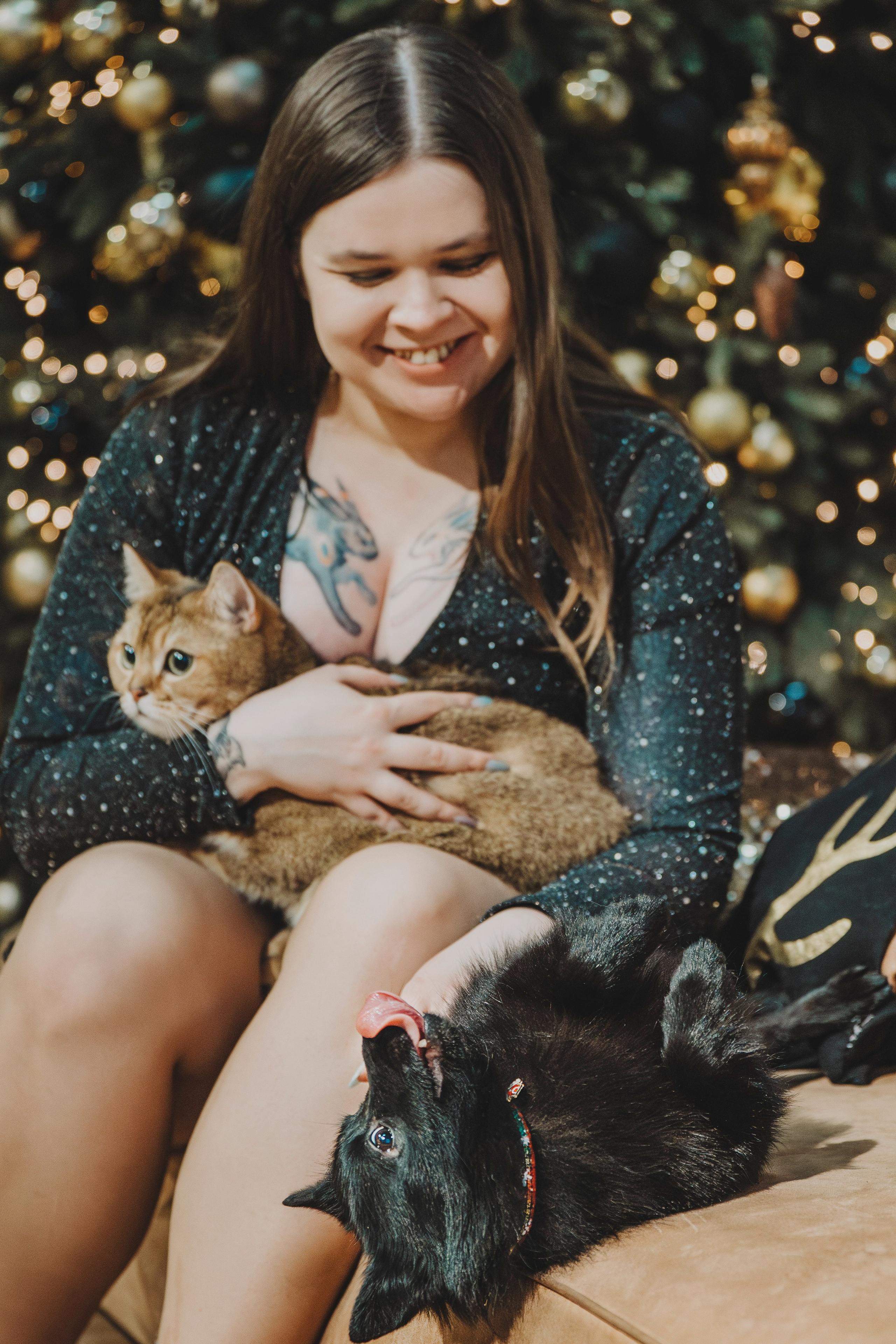 Аня, Андуин и Тесс. Фотограф анималист в Спб недорого Олеся Майорова