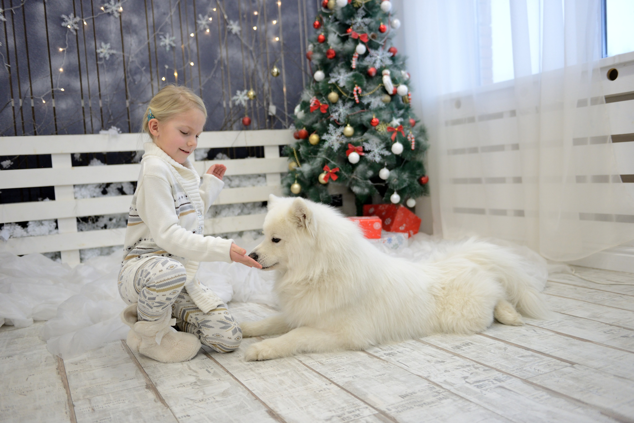 Студийные съемки. Выпускные альбомы в Москве. Фотограф Анна Вакор