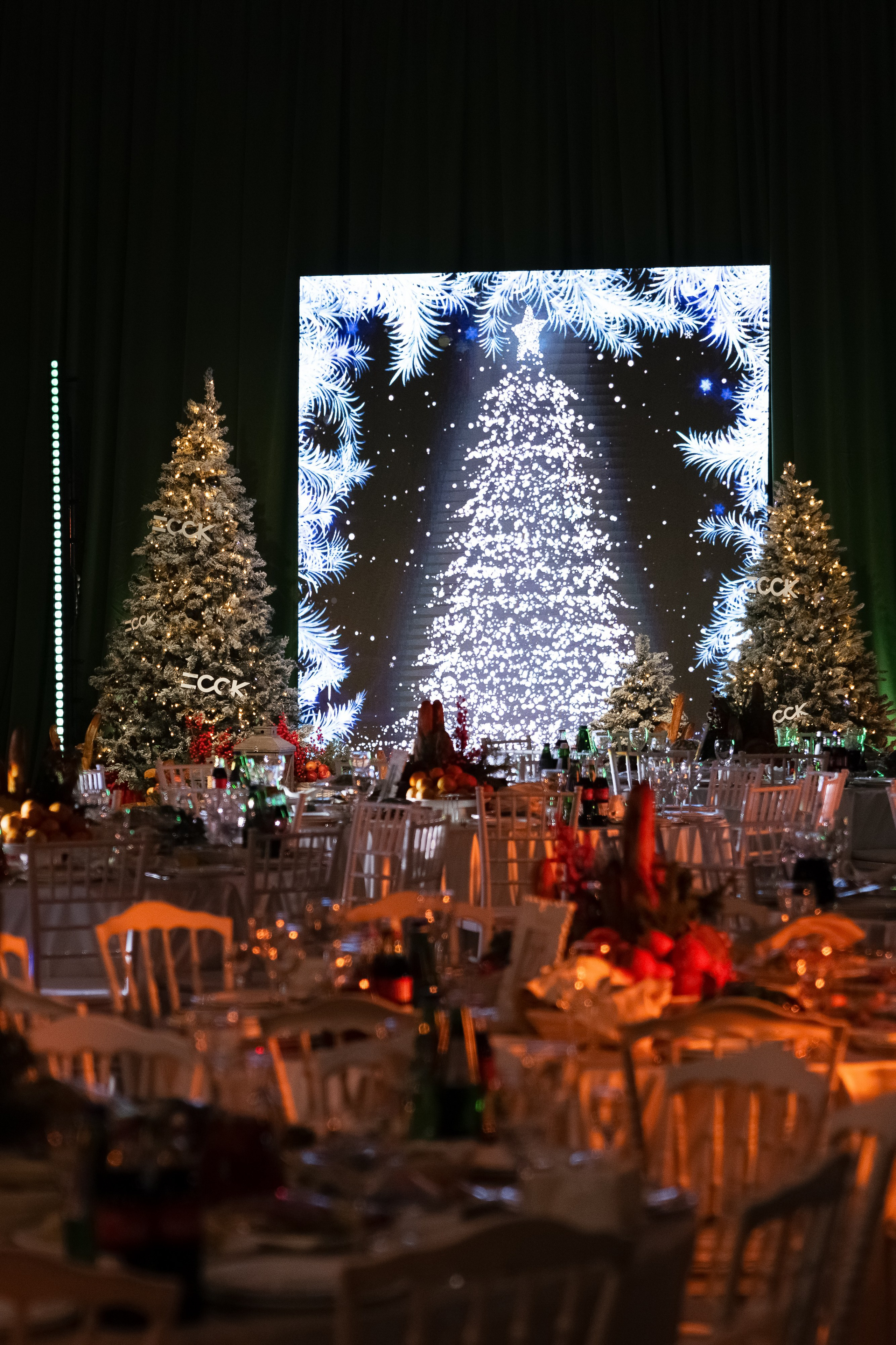 ССК. Арина Тамочкина. Фотограф Краснодарю