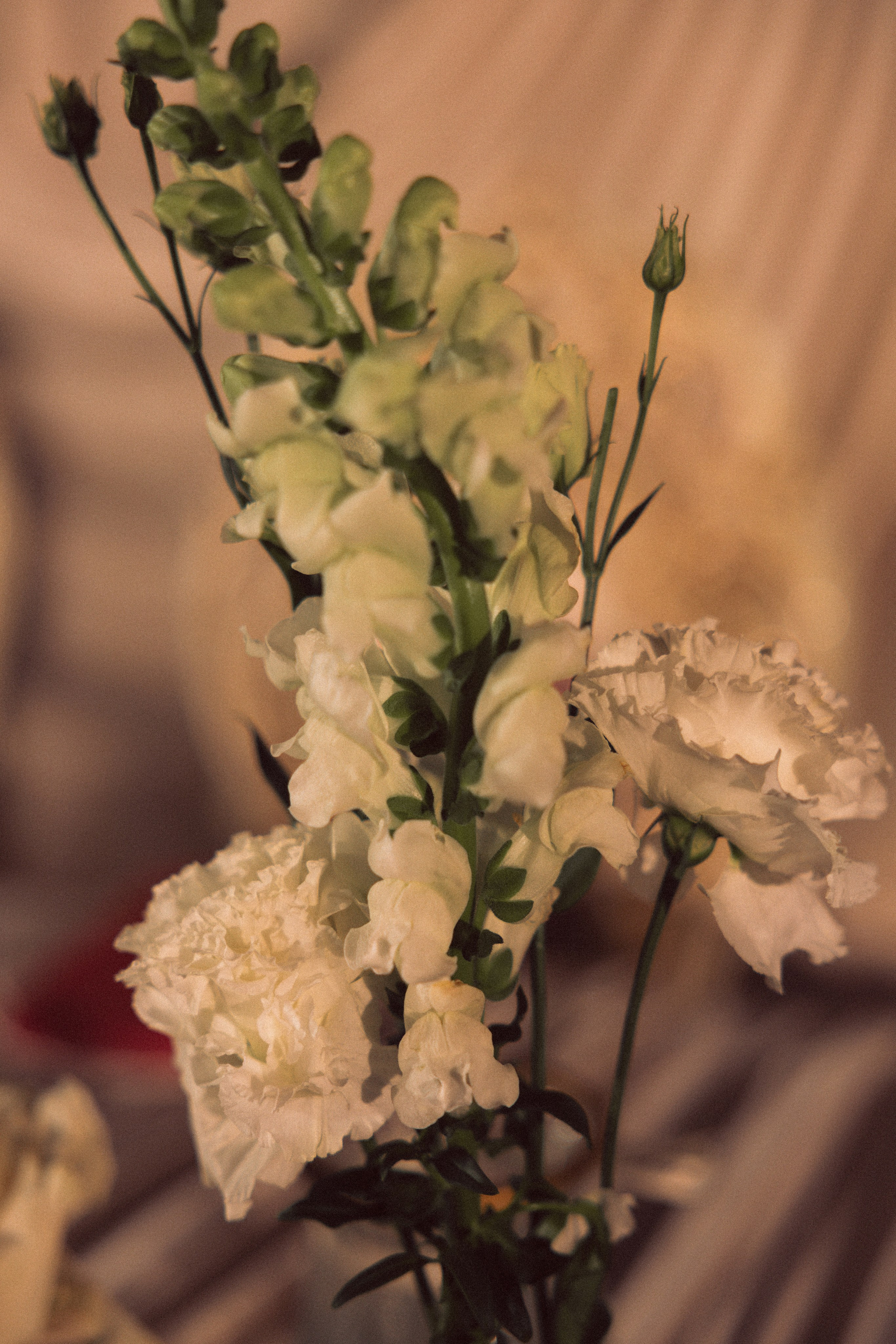 Свадьба Игорь и Анна. ФОТОГРАФ ИРИНА ШАМАТАВА