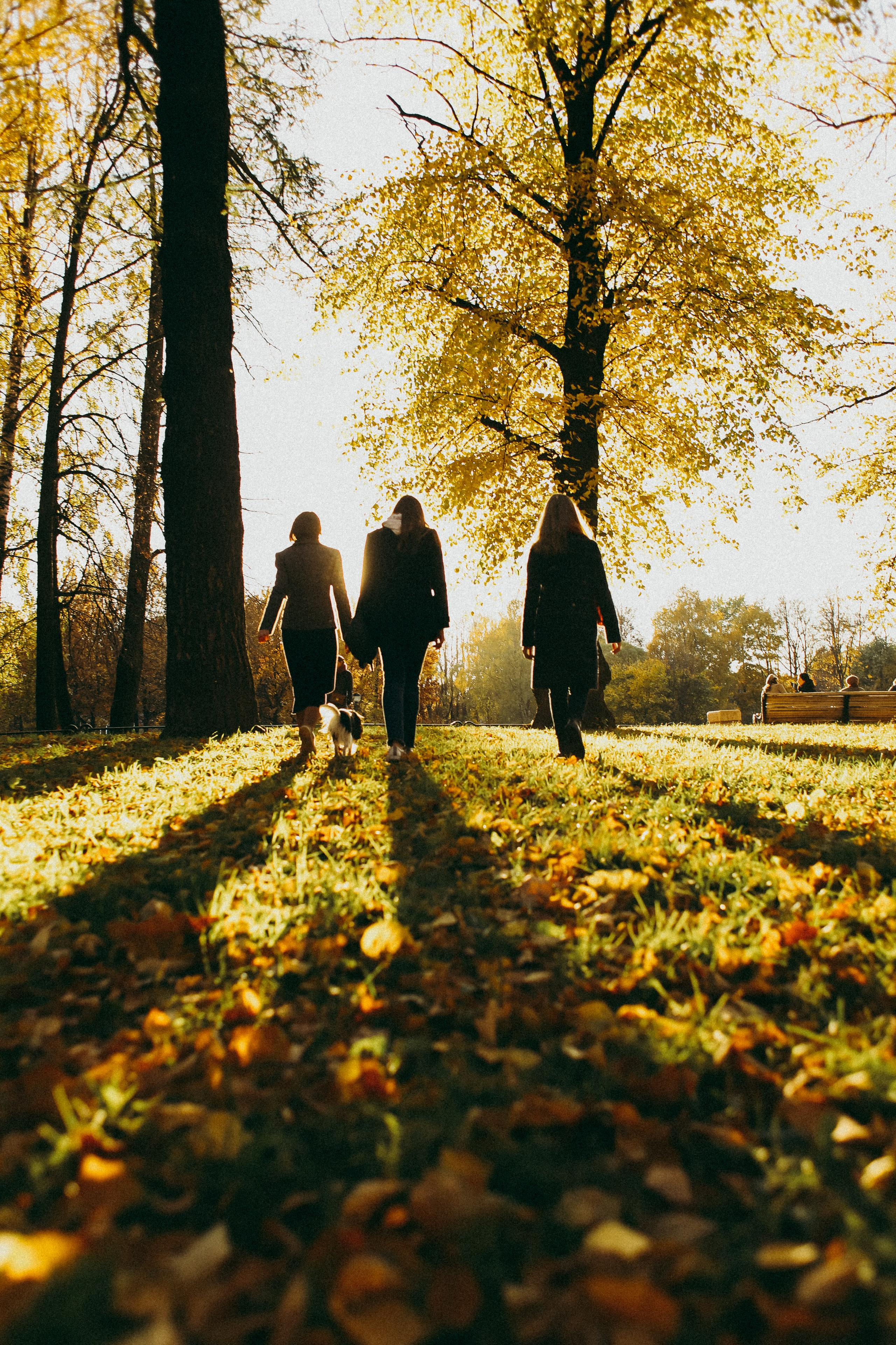 Виктория и семья. Фотограф Москва и Санкт-Петербург