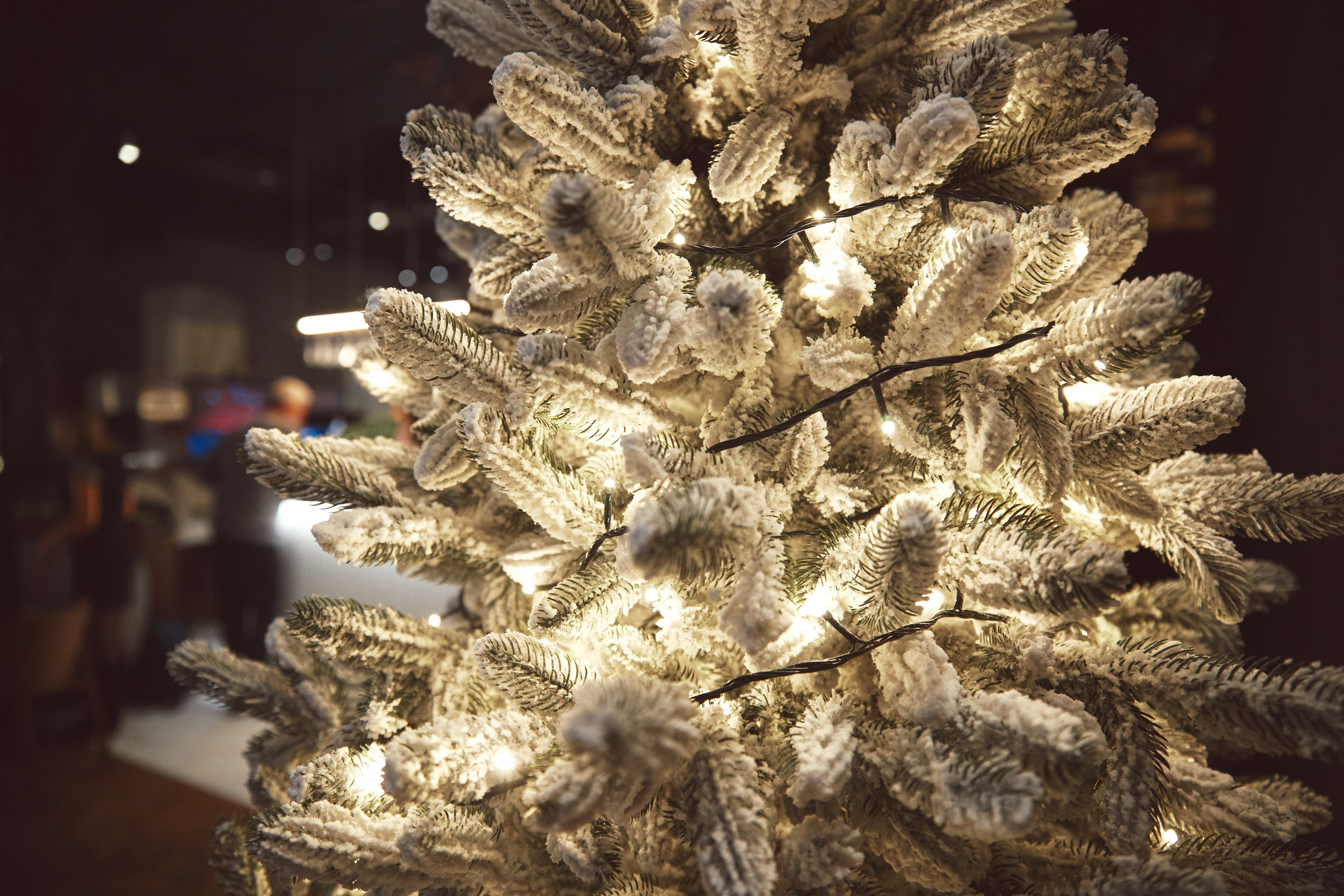 Новый Год в Севичерия. Татьяна Фомичева. Репортажный и светский фотограф в Москве