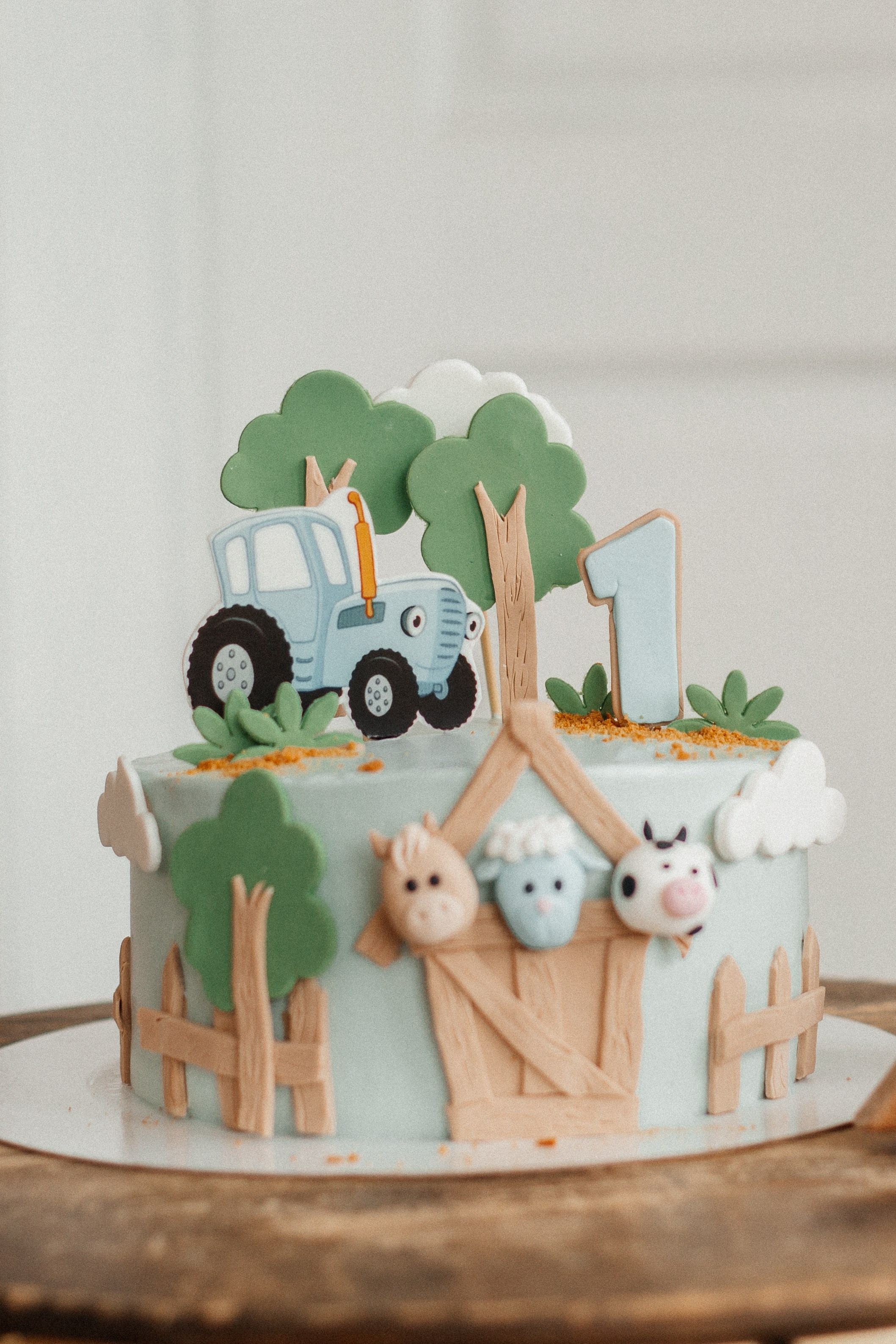 Мирону 1 годик!. Фотограф, Марина Шипек