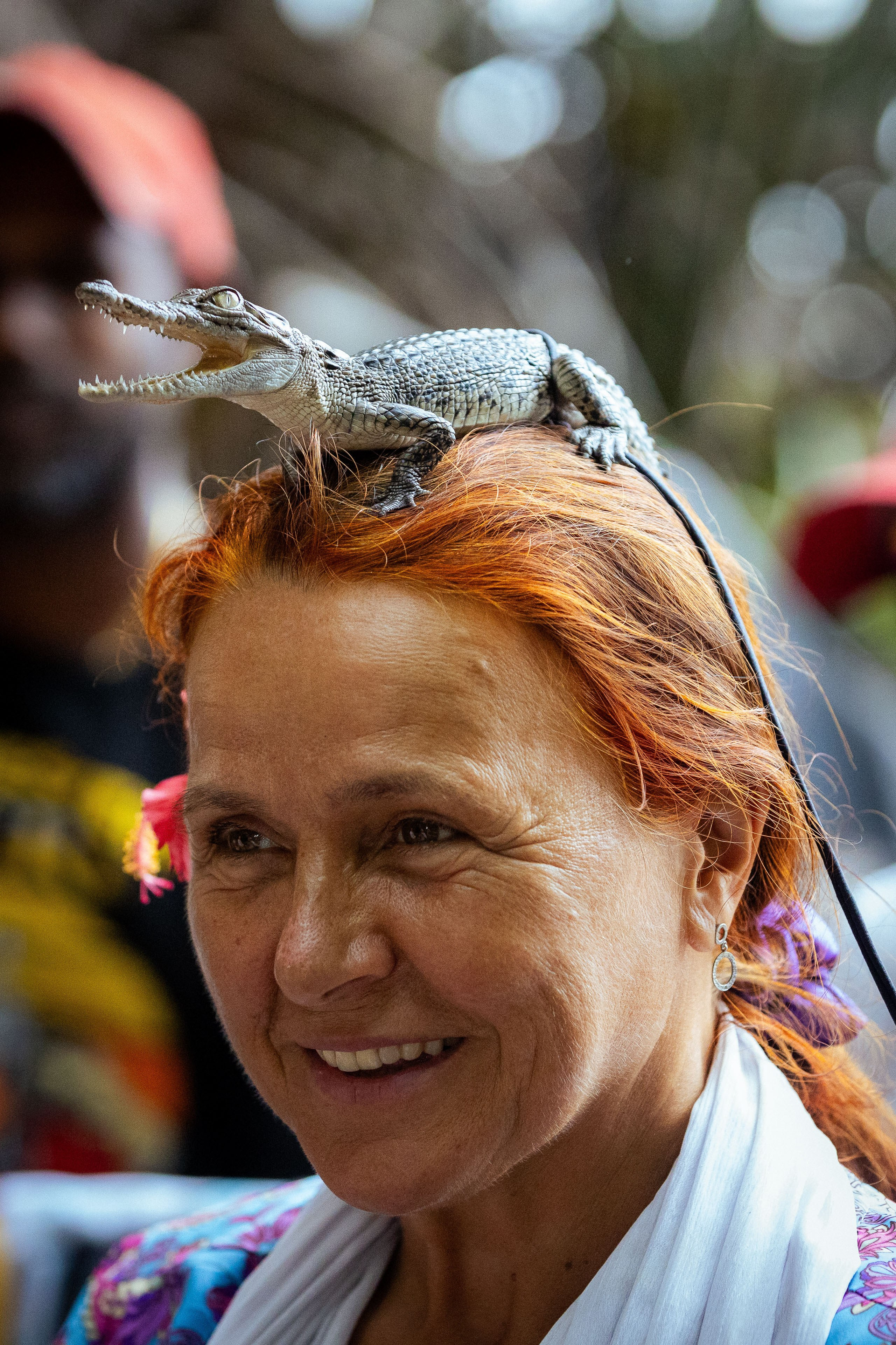 Шри-Ланка (весна 2024). Фотограф Виноградов Константин