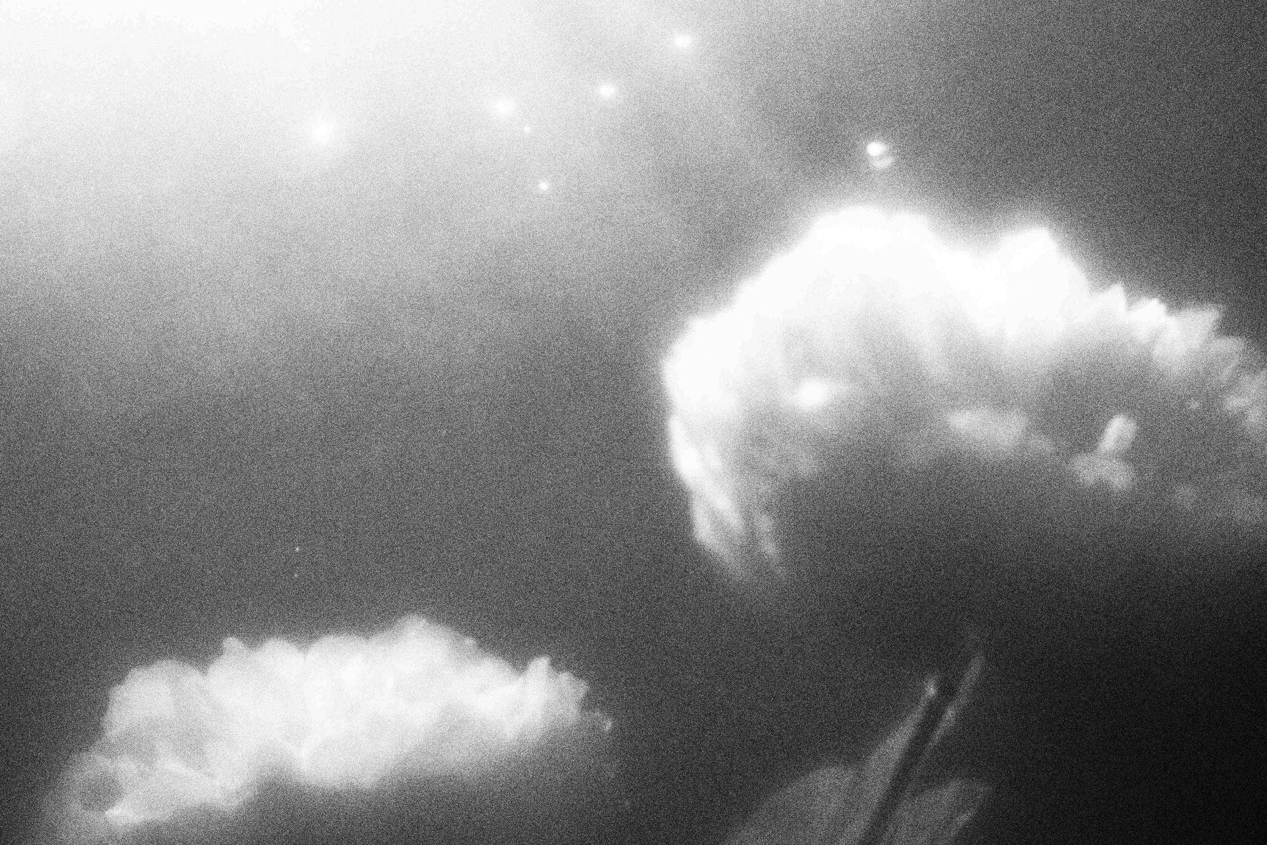 «Видеть. Чувствовать. Сохранять»