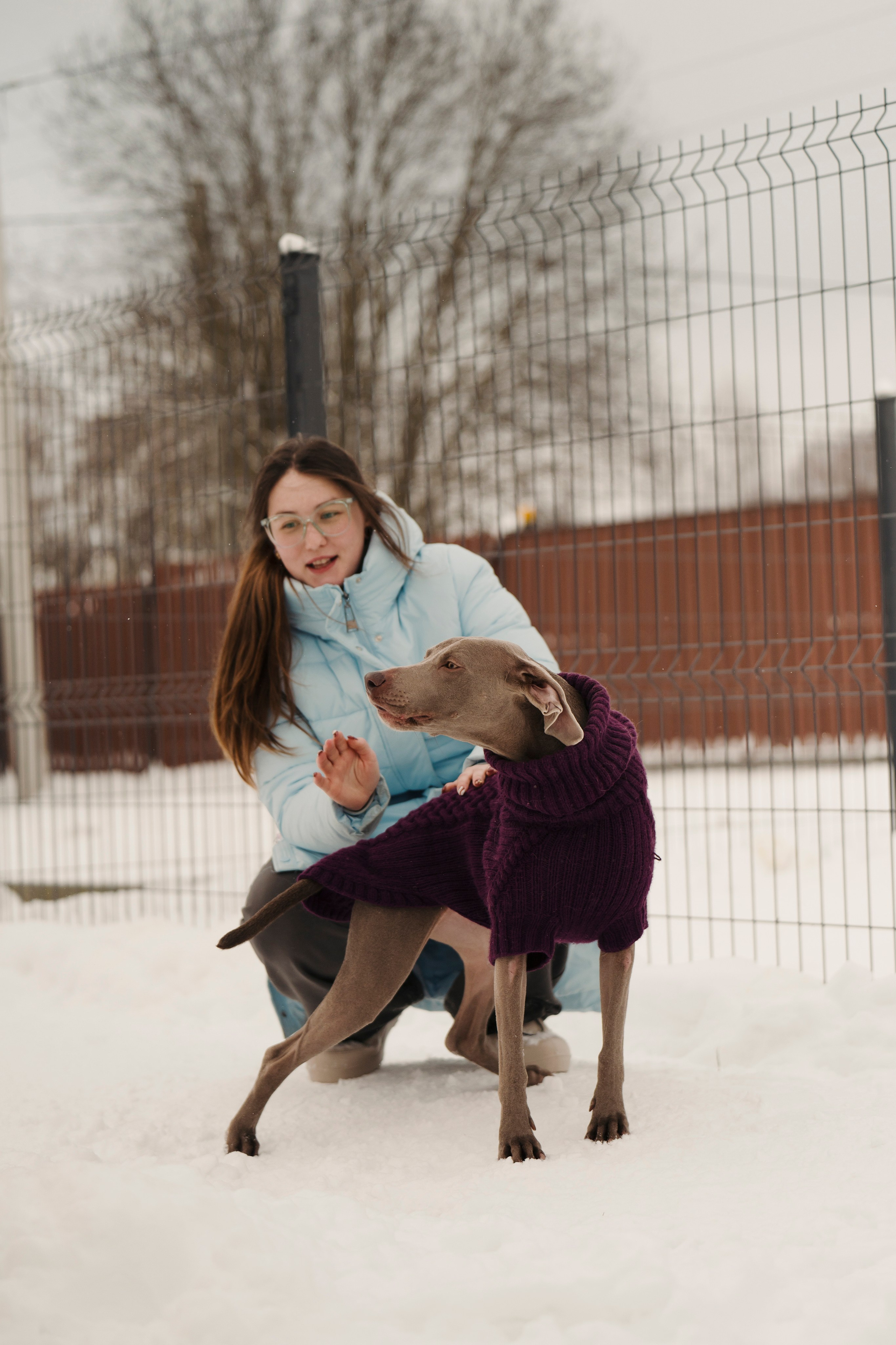 Зоогостиница Мишка. Фотограф- анималист Александра Матвеева