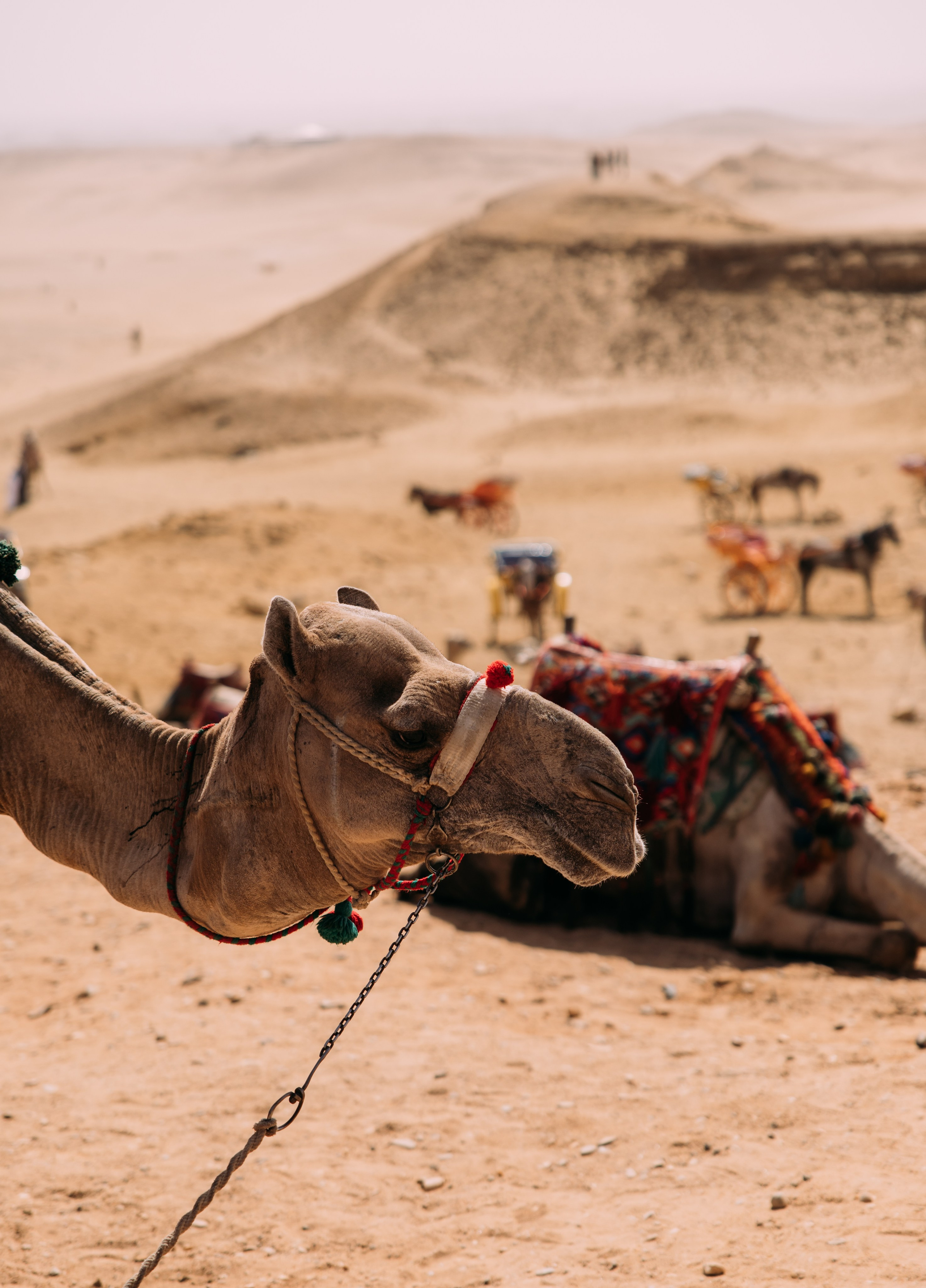 ФОТО ТУРЫ ПО МИРУ. Фотограф Марина Аблаева-Кожедуб