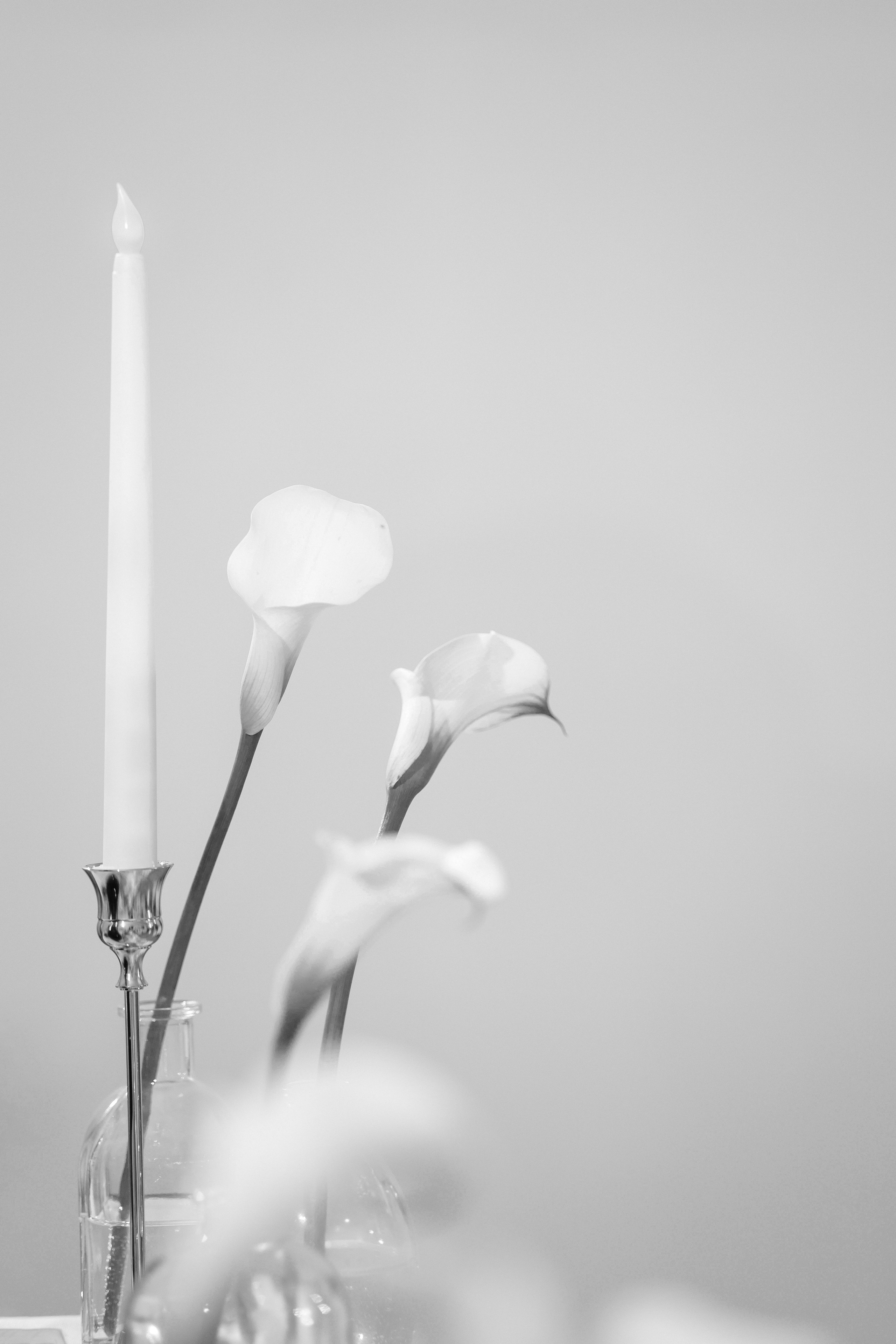 V | A. Чёрно-белая история любви. Свадебный фотограф Настя Шелл г. Череповец