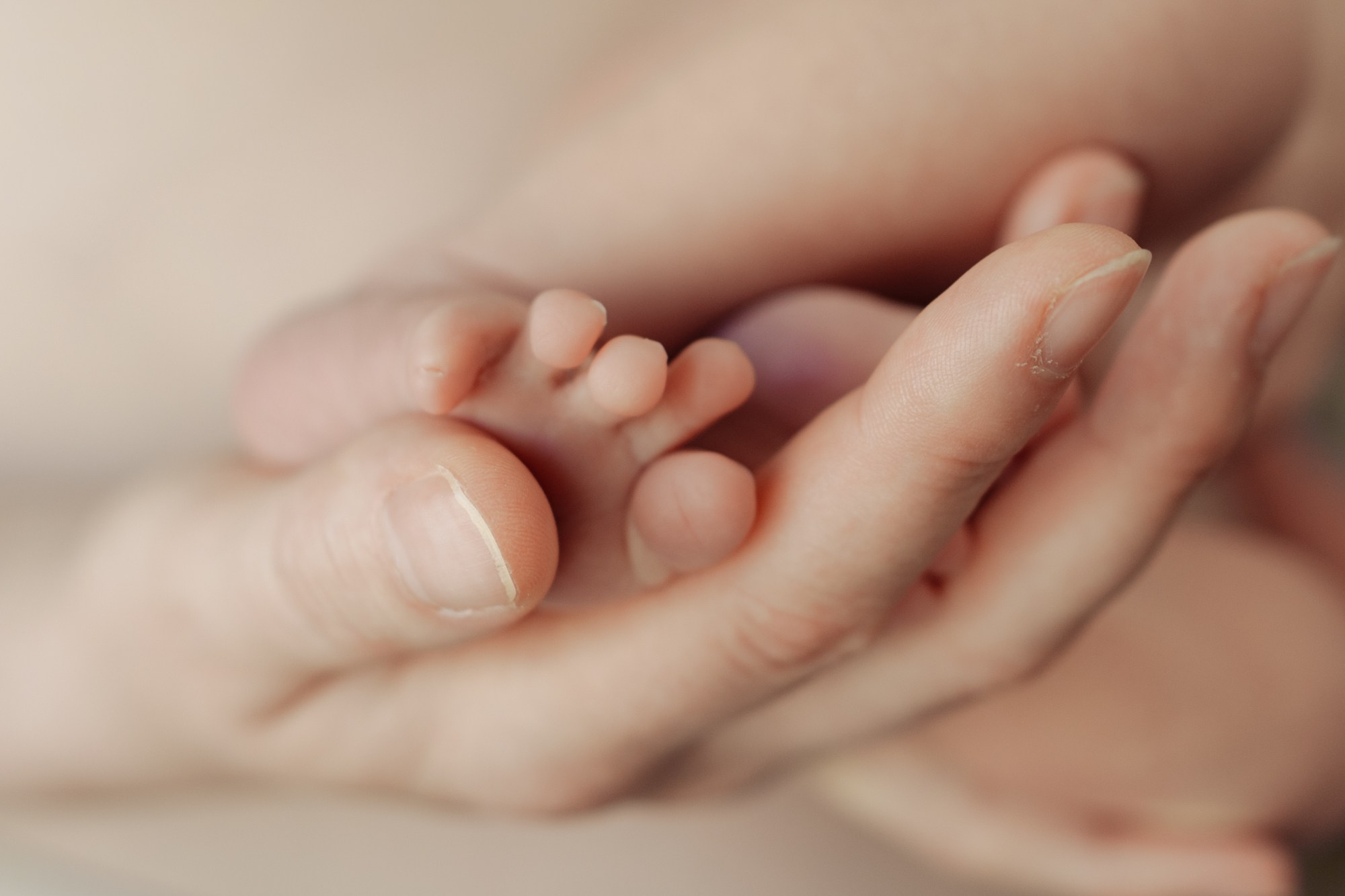 Newborn. Фотограф Виктория Юленкова