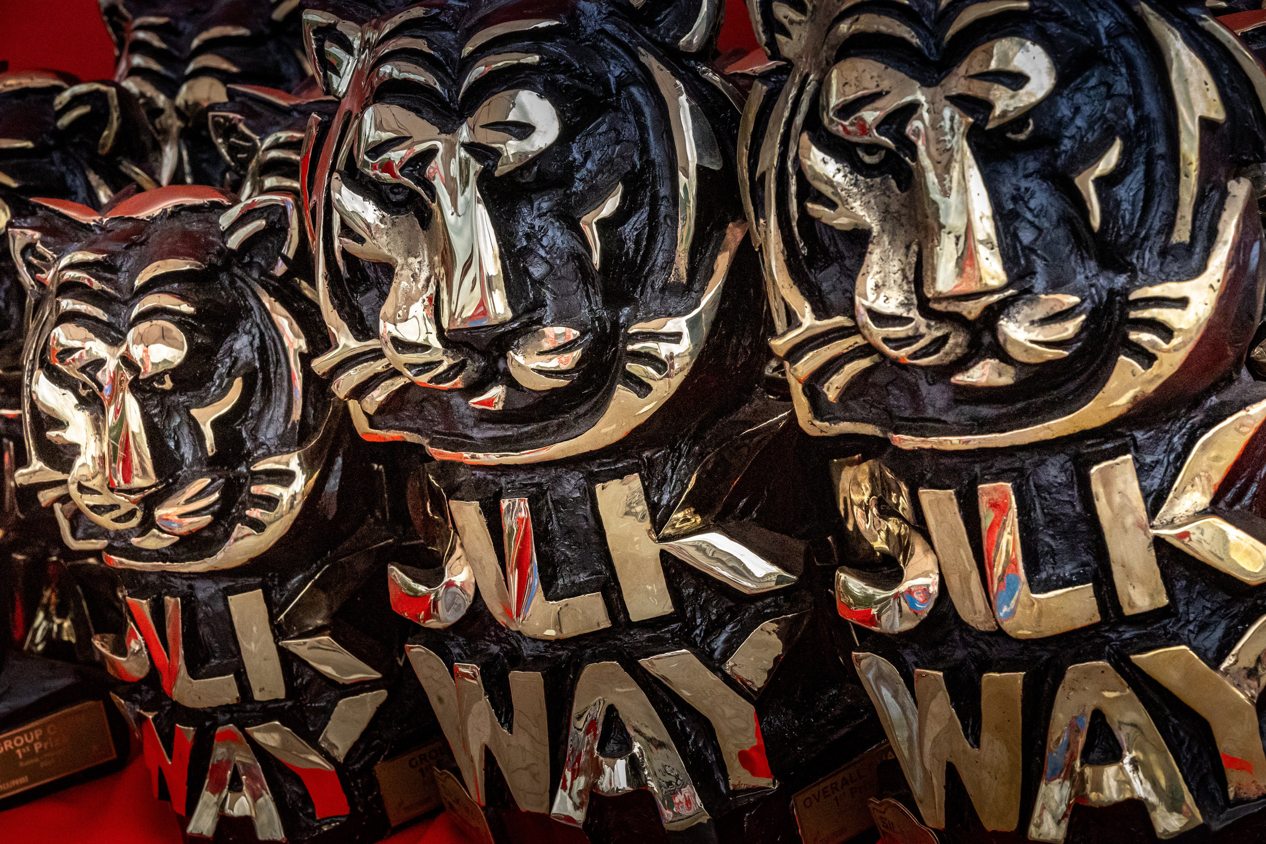 SILK WAY RALLY. Портфолио