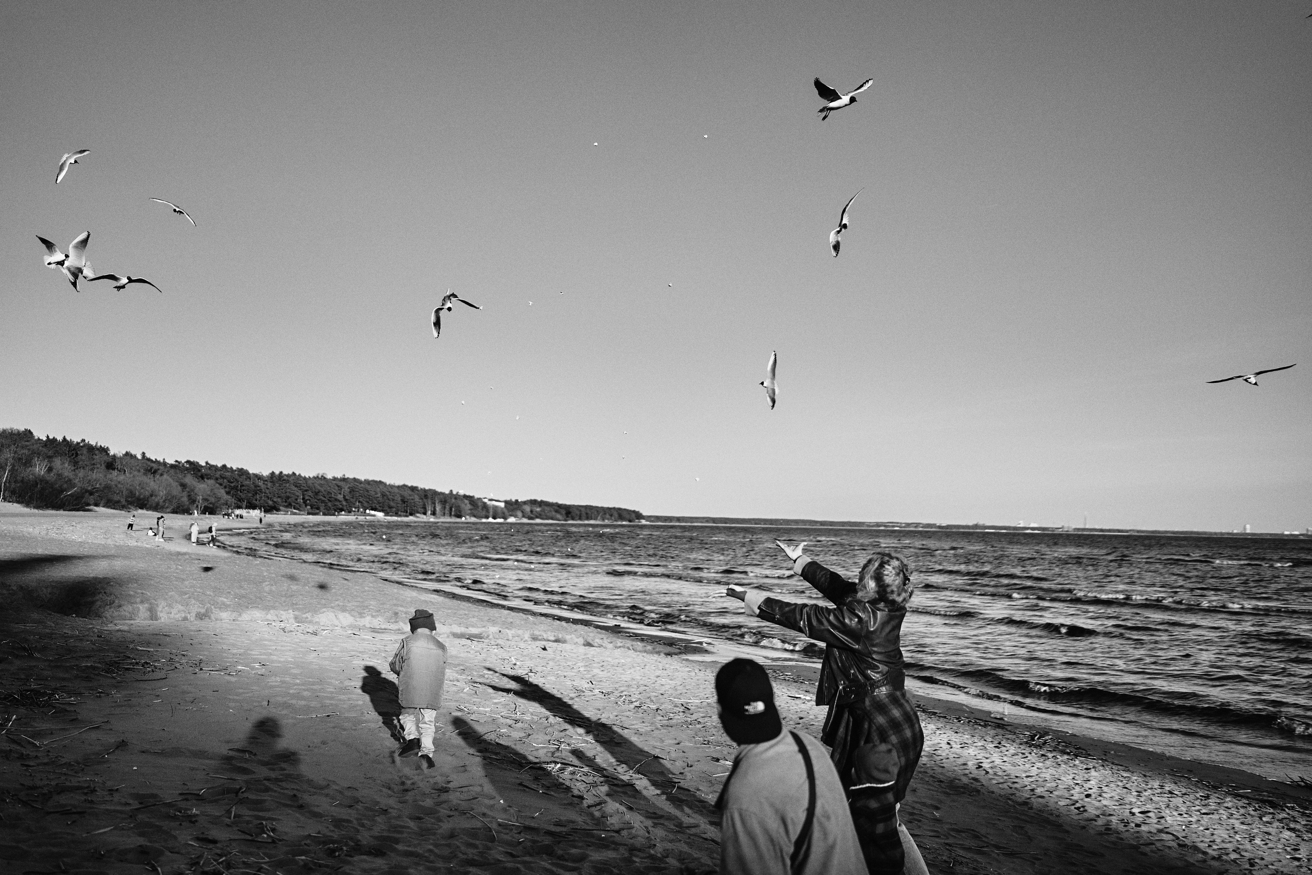 Аня, Дима, Матвей и Давид. Фотограф в Санкт-Петербурге | Аня Маленчук