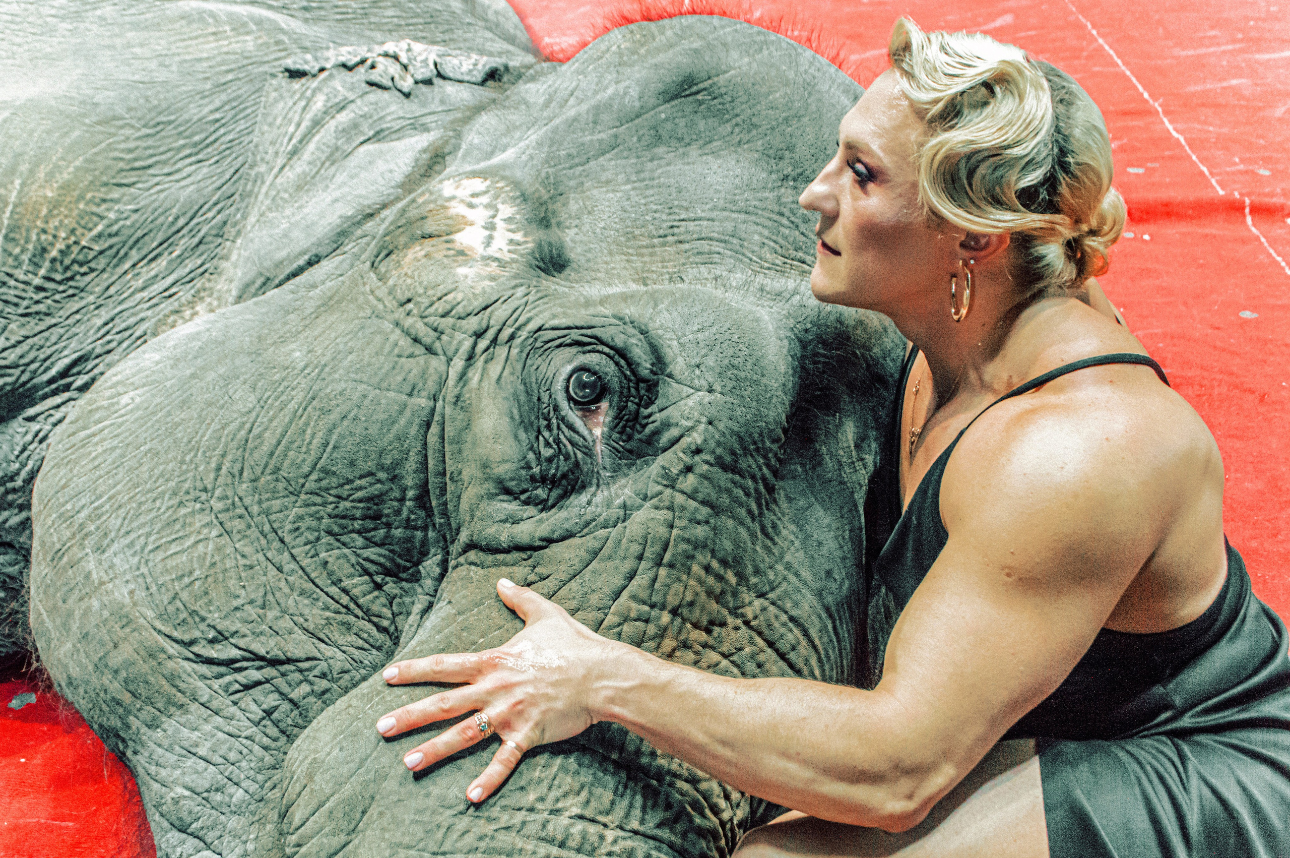 Екатерина. Главная