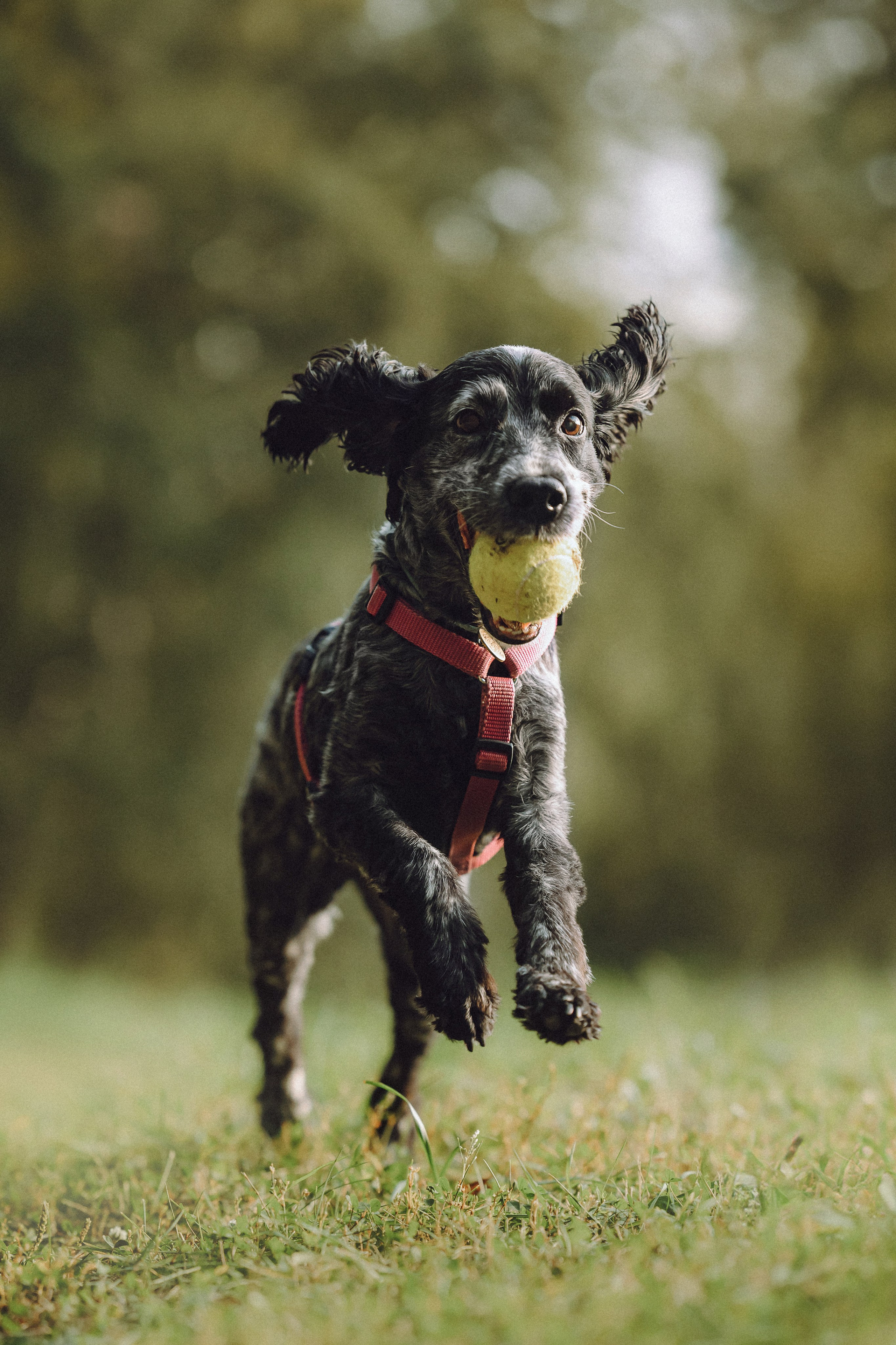 Маша и Ларри