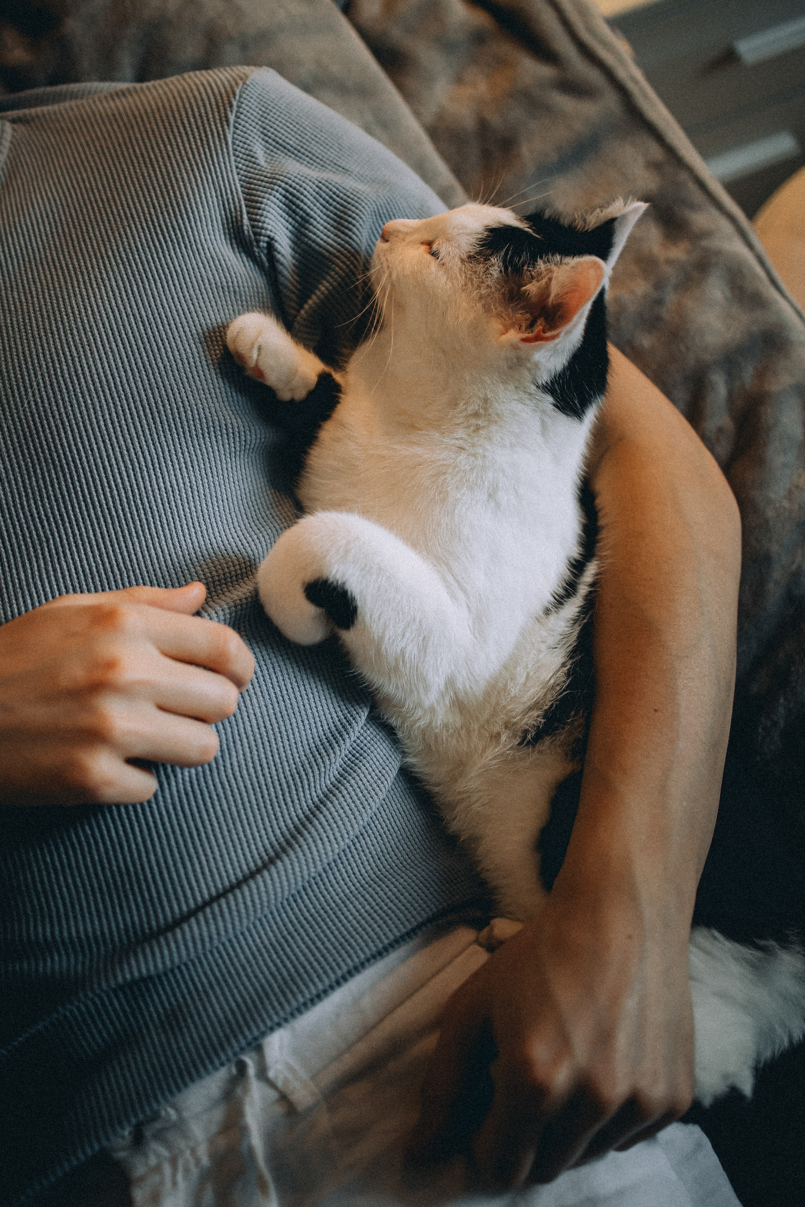 Рыся, Кепа и их семья