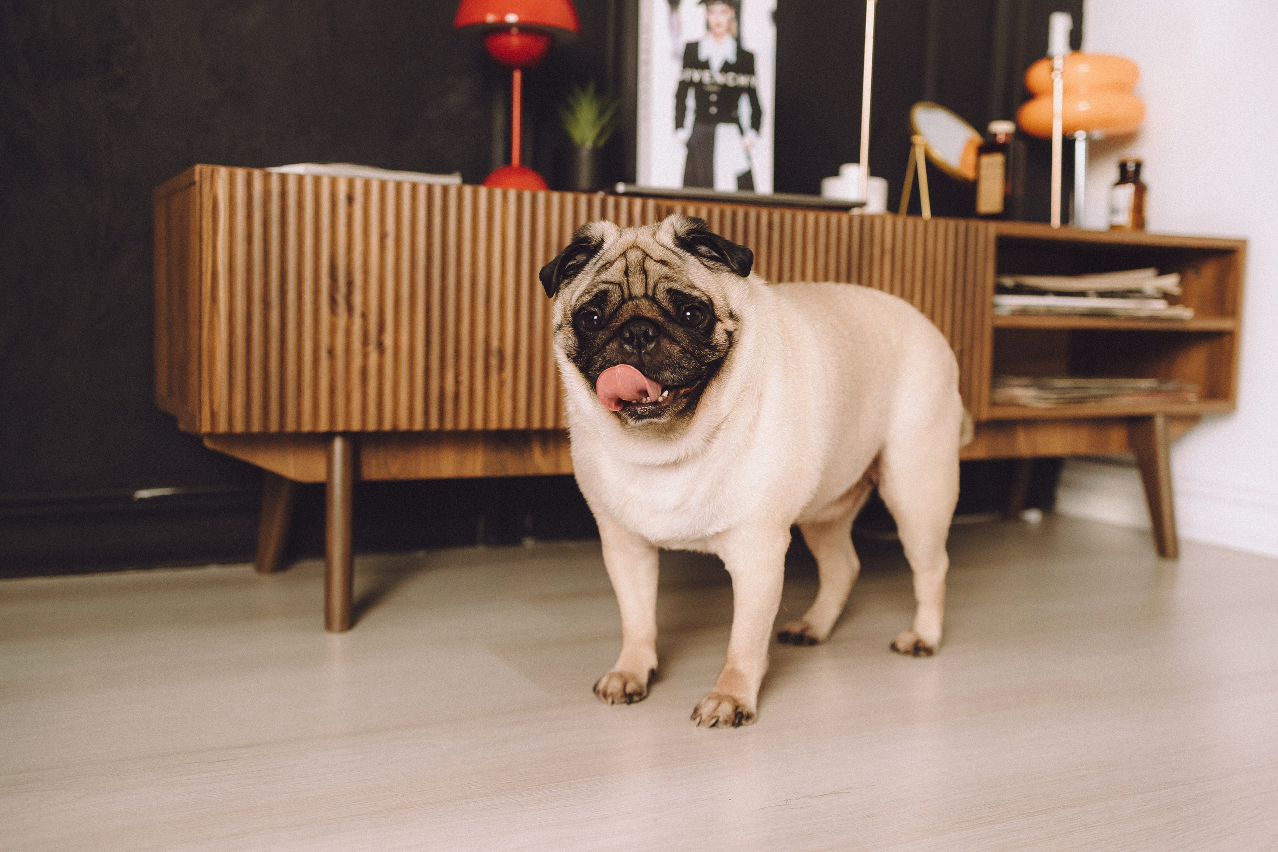 Денис, Василина, Гаврюша и Кнопка