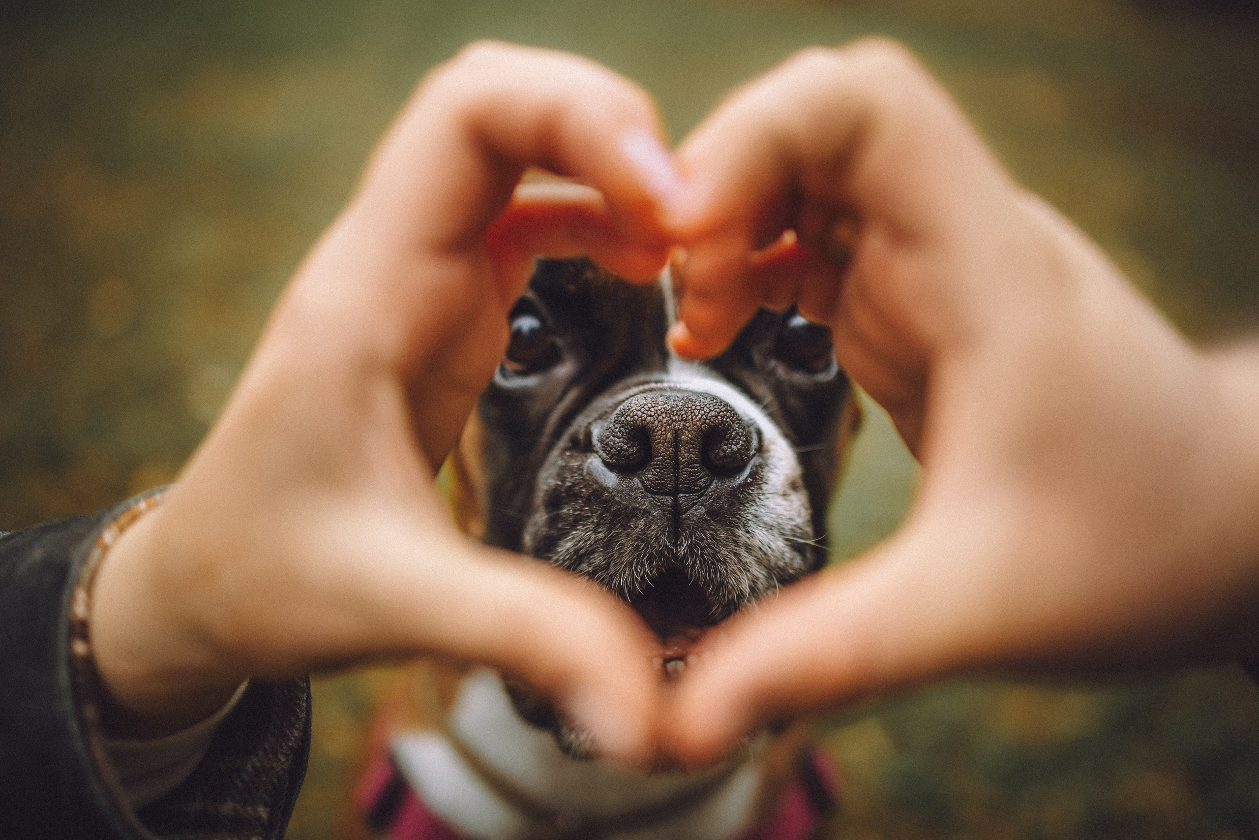 Элли и ее семья