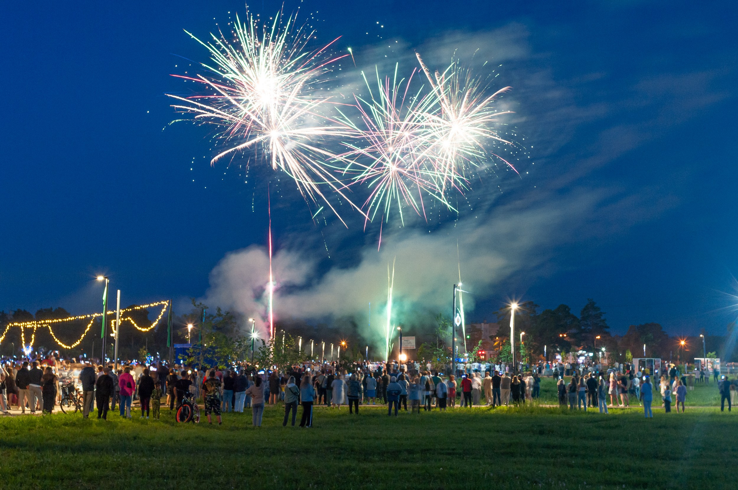 Праздники. Николай Пак