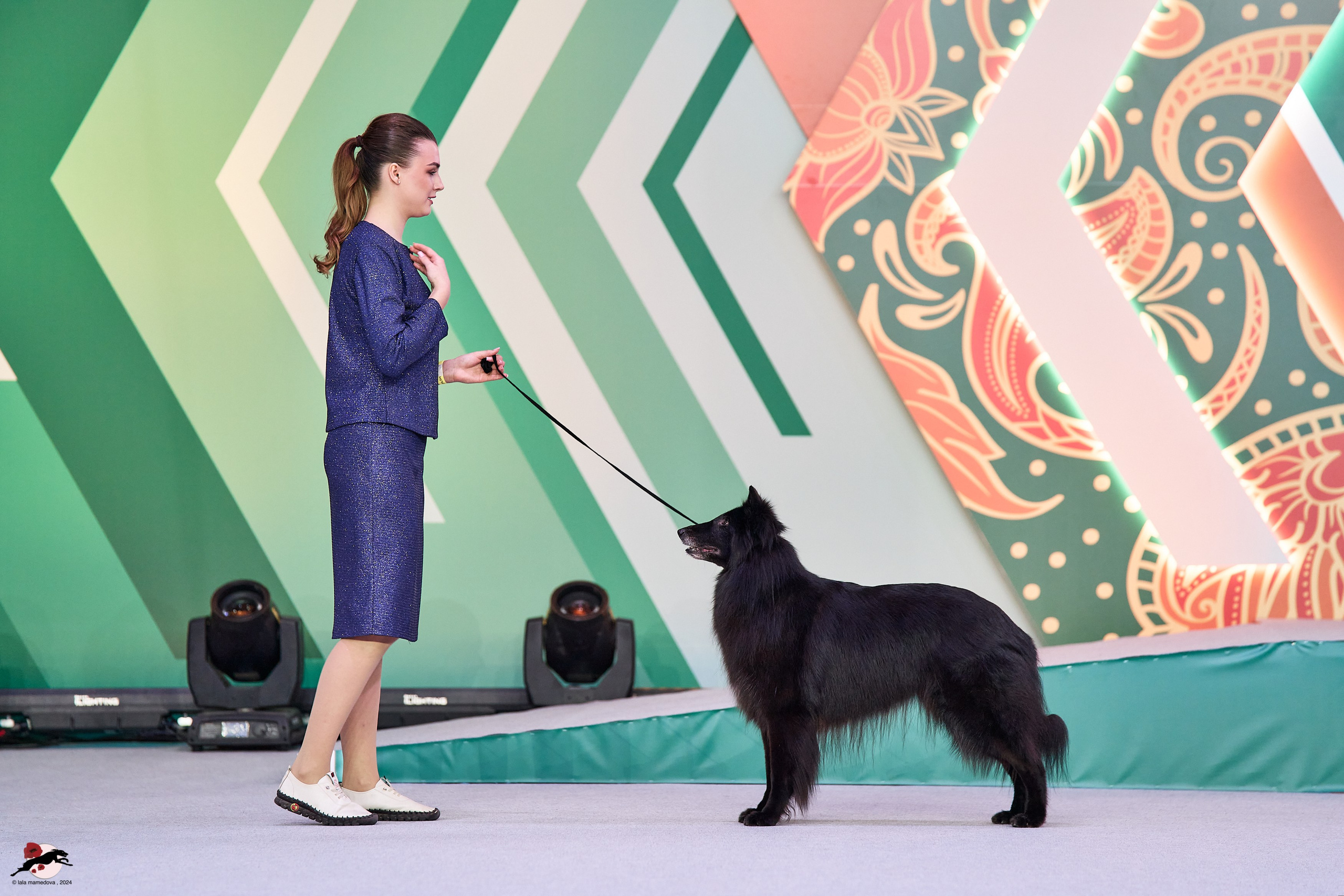 17.11.2024 «ЕВРАЗИЯ. КУБОК СНГ 2024»