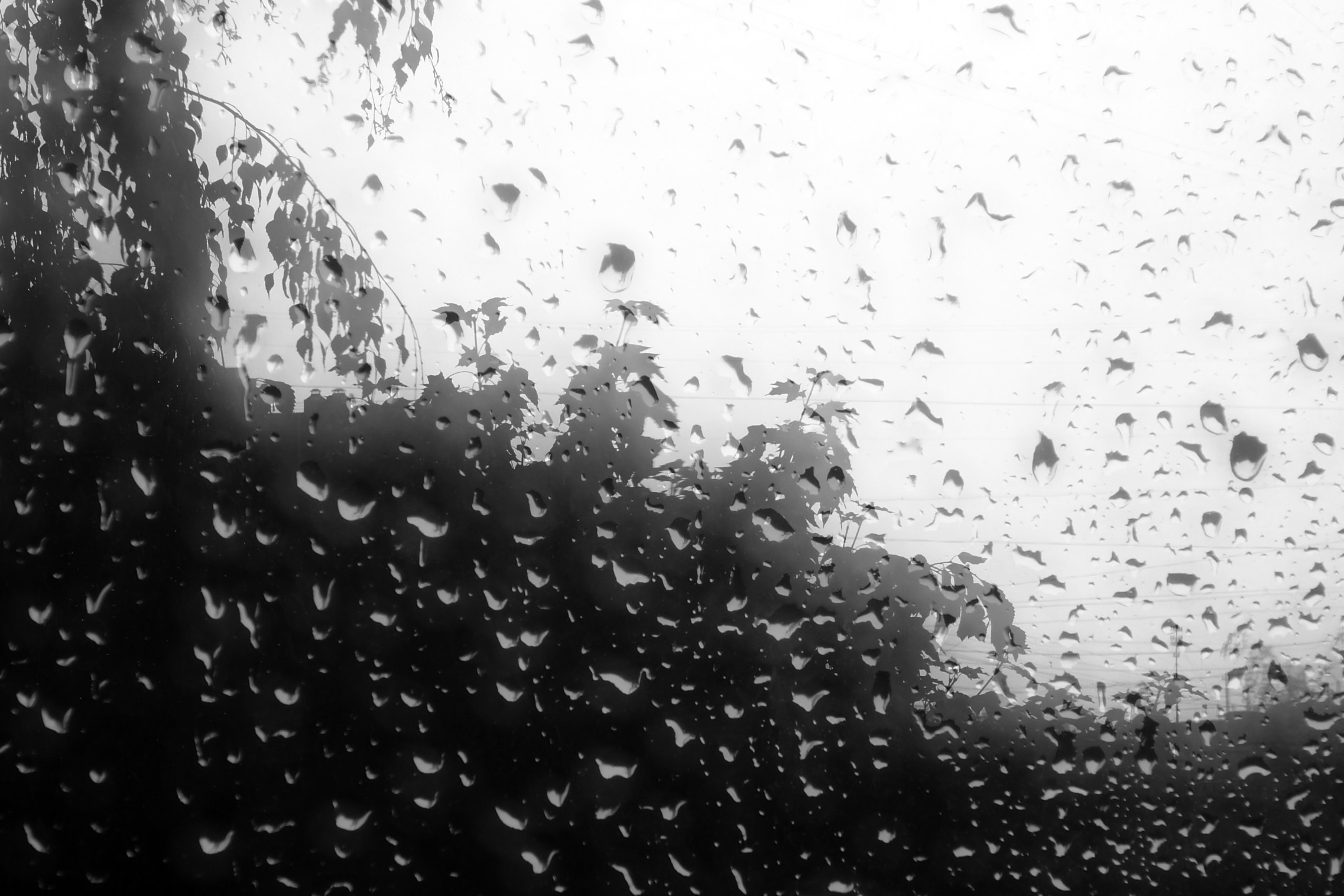 Черно-белое. Миша Печёнкин | фотография