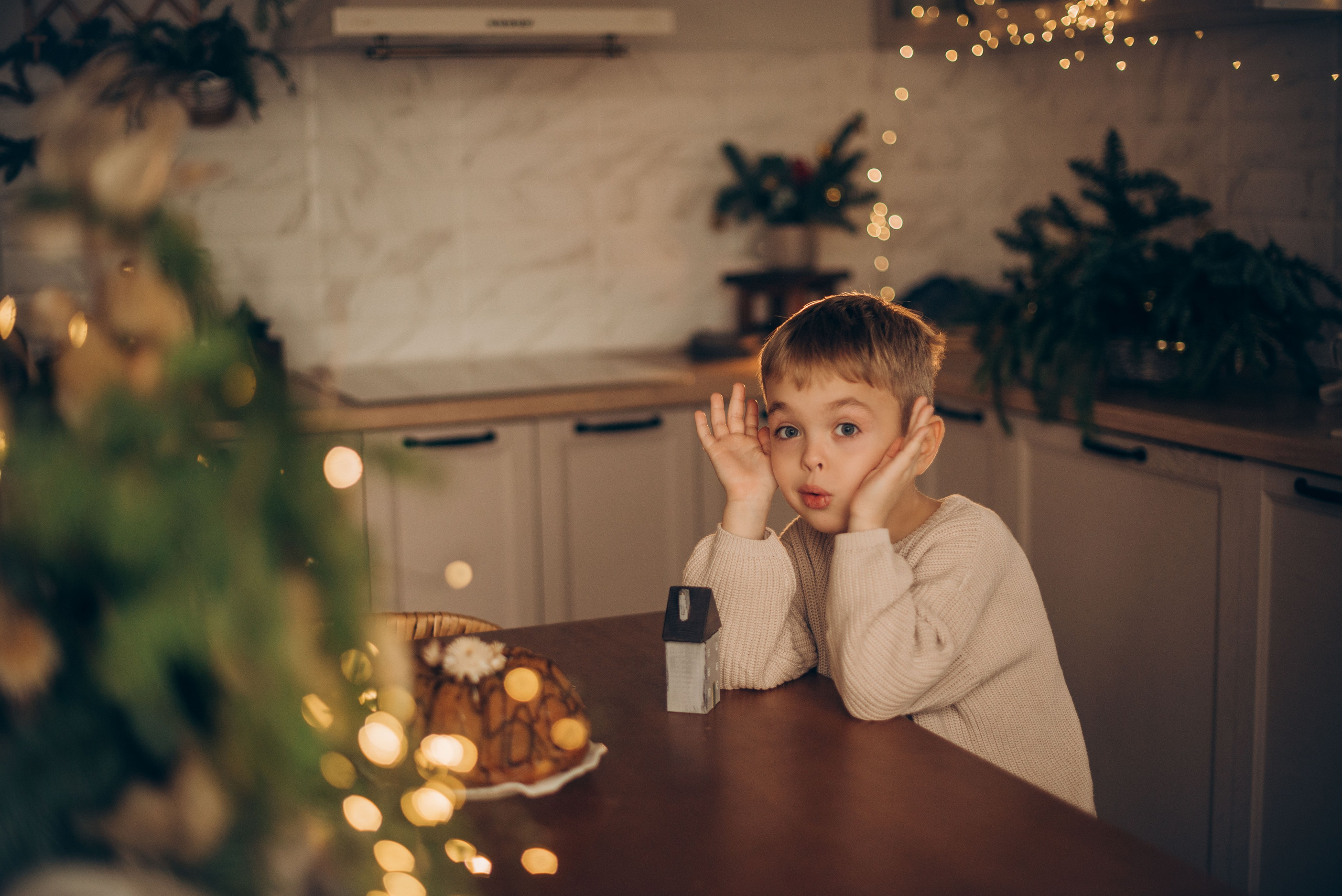 Семейная новогодняя фотосессия в студии. Семейный фотограф в Домодедово и Москве Елена Пичугина